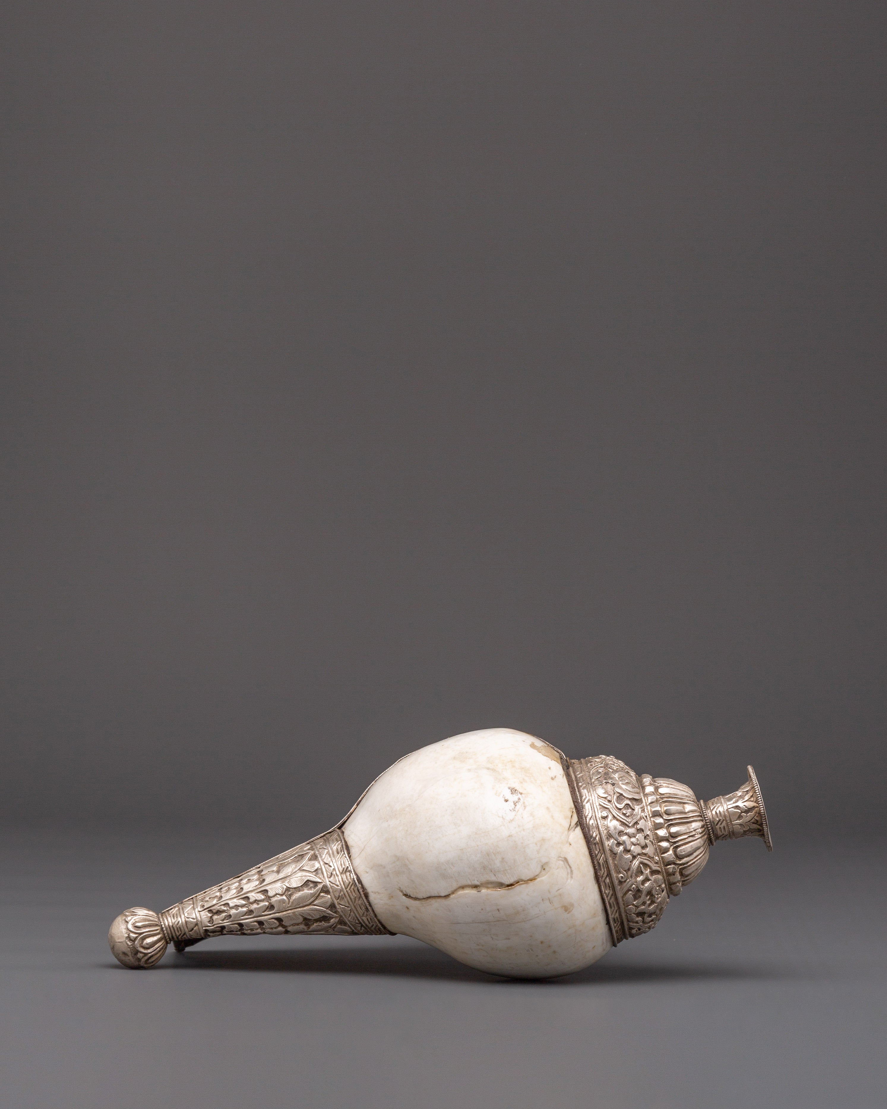 Sacred Tibetan Conch | Spiritual Tool for Meditation & Rituals