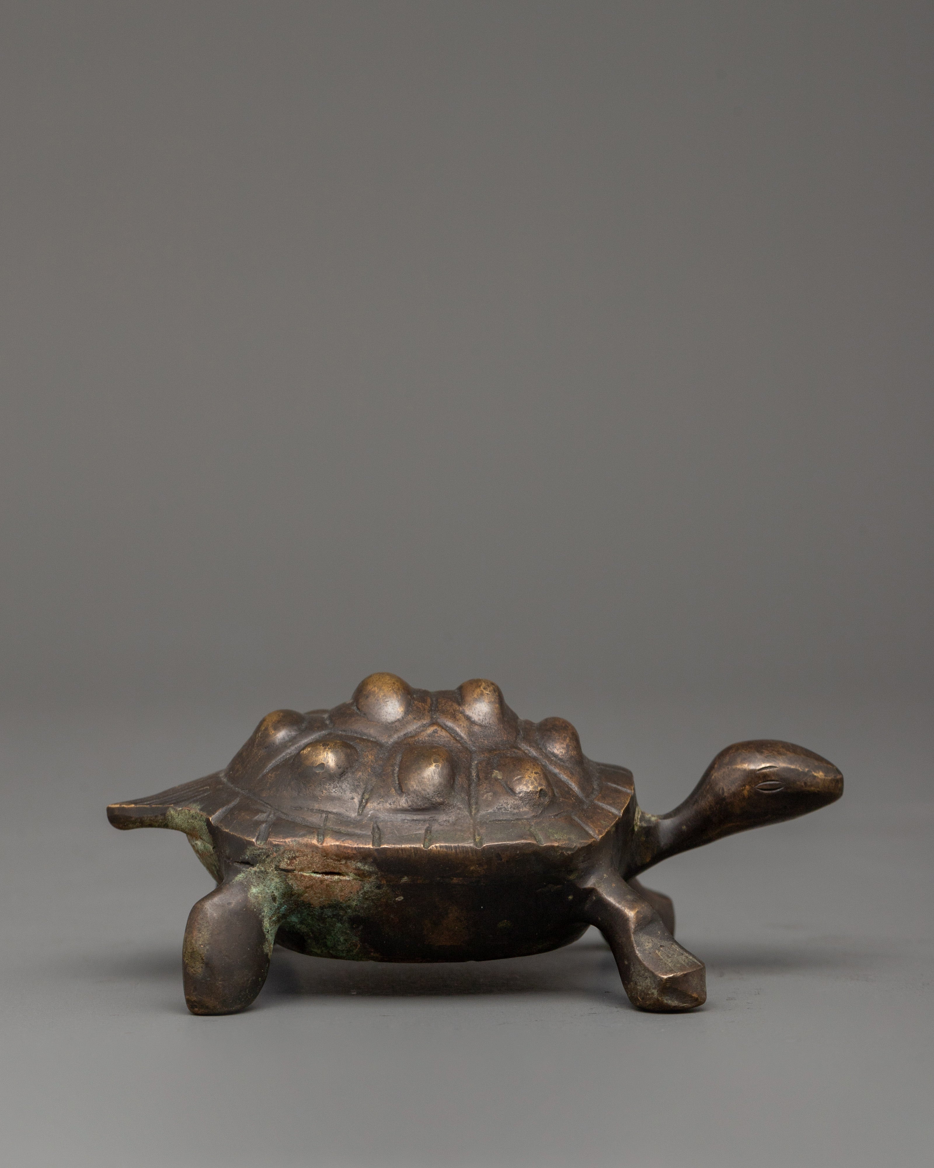 Brass Tortoise Statue with Antique Finish | Feng Shui Lucky Tortoise for Home Decor