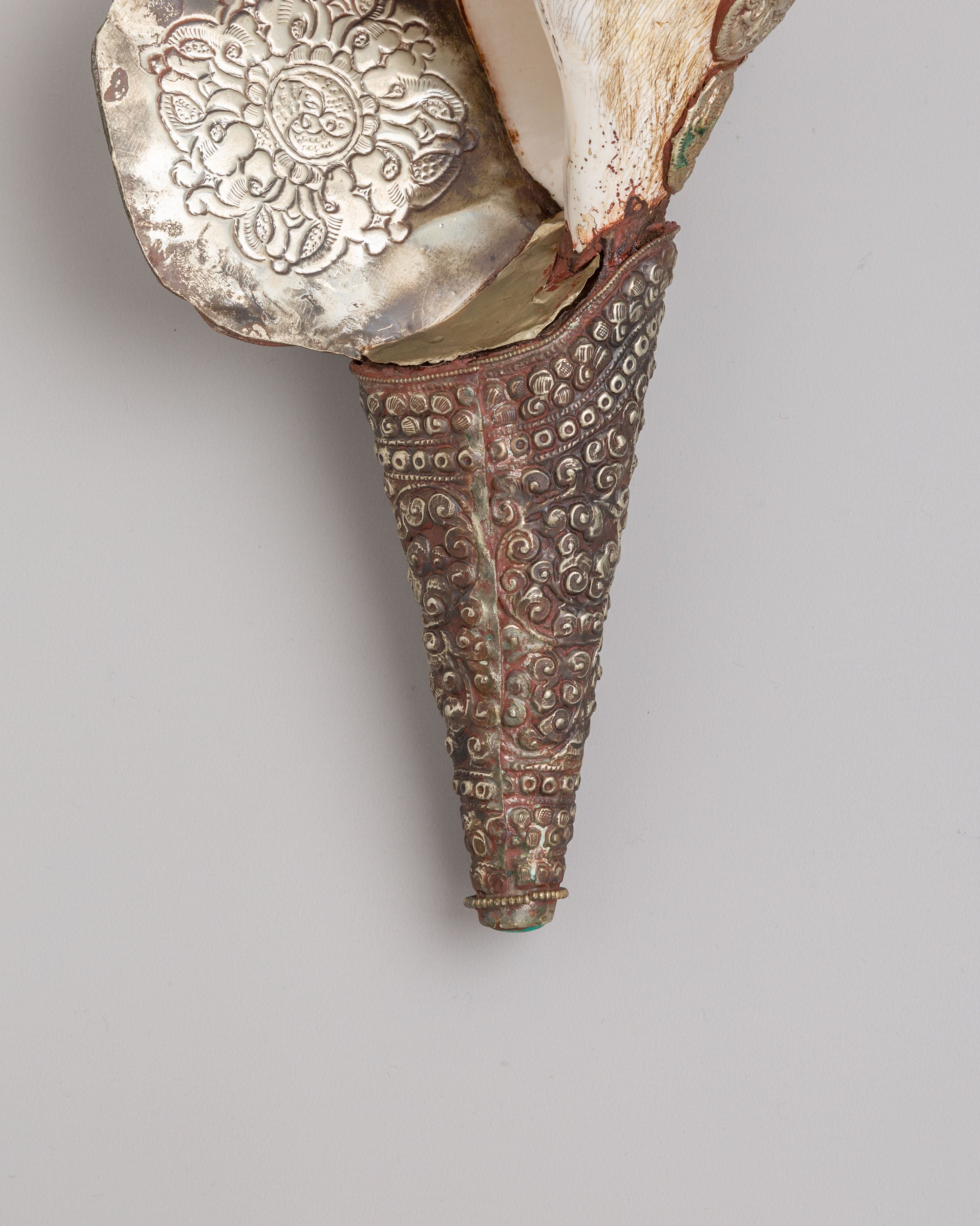Himalayan Conch Shell | Buddhist Altar Decor