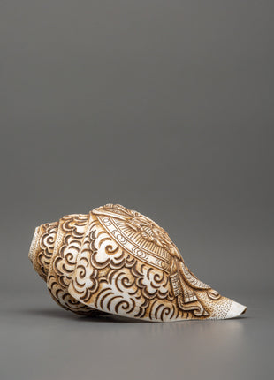 Ganesh Carved Conch Shell for Altar | Handcrafted Conch Shell Ritual Shankha