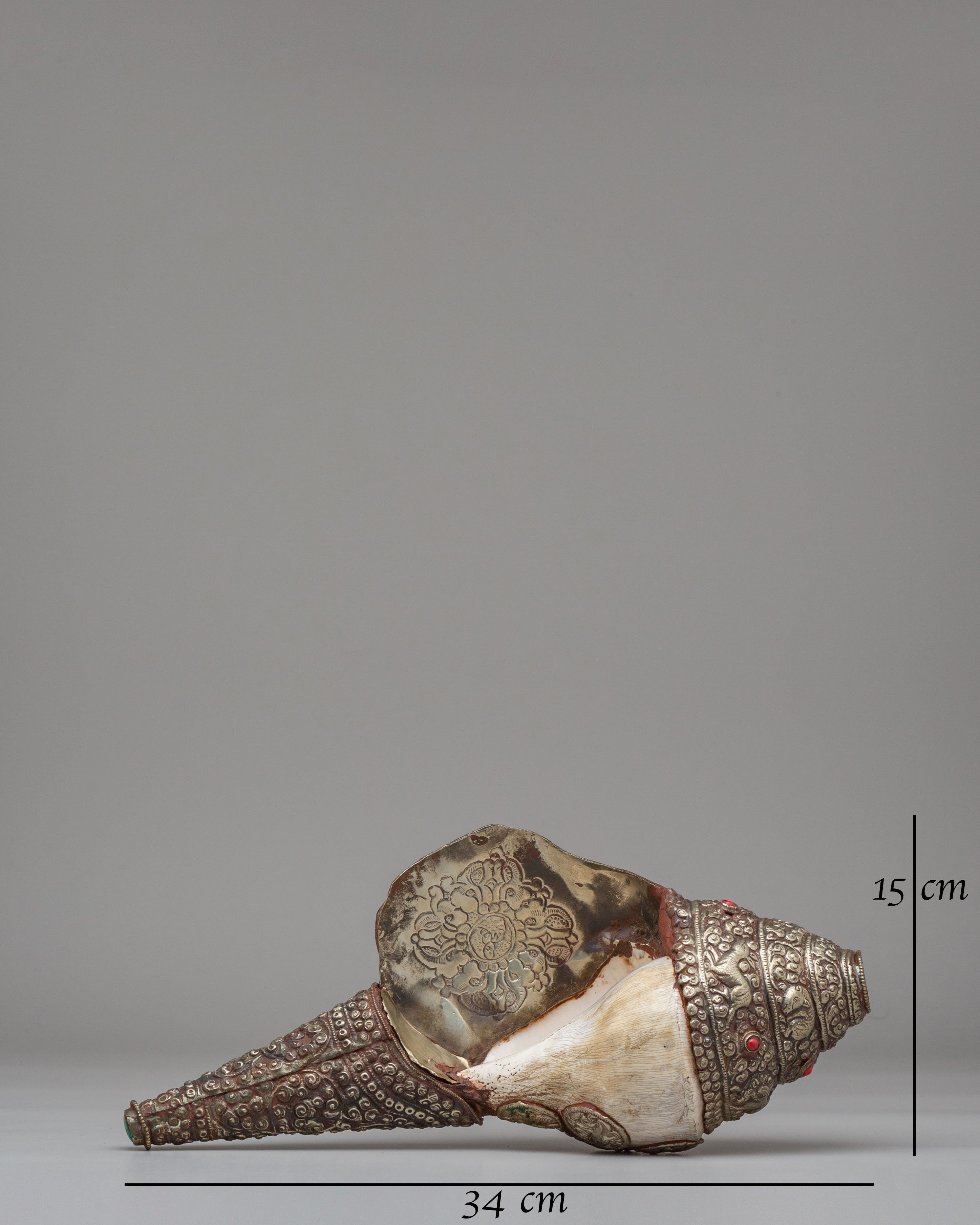 Himalayan Conch Shell | Buddhist Altar Decor