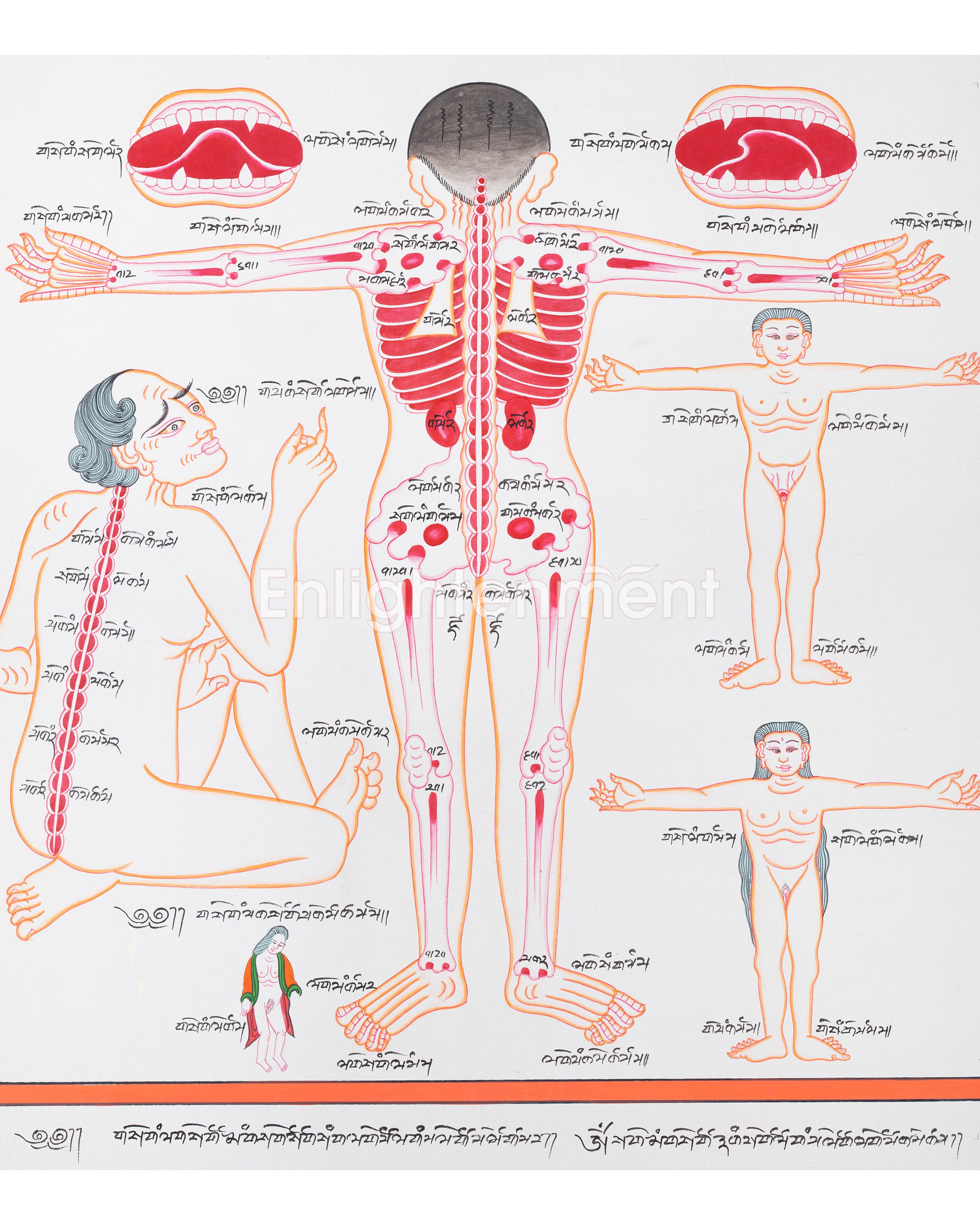Human Anatomy Thangka | Posterior View of Healing Points