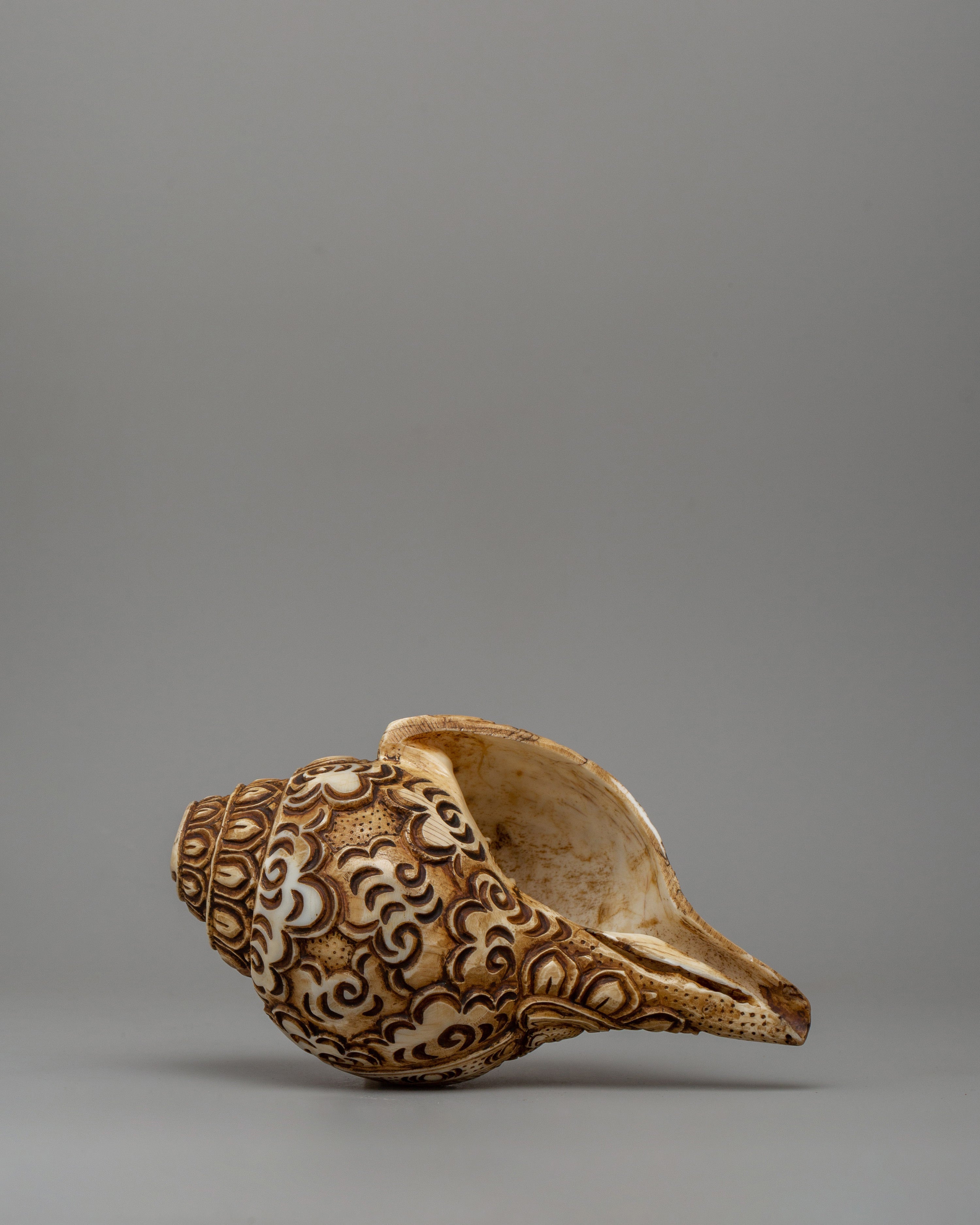 Conch Shell with Buddha Carvings | A Sacred Ritual Artifact