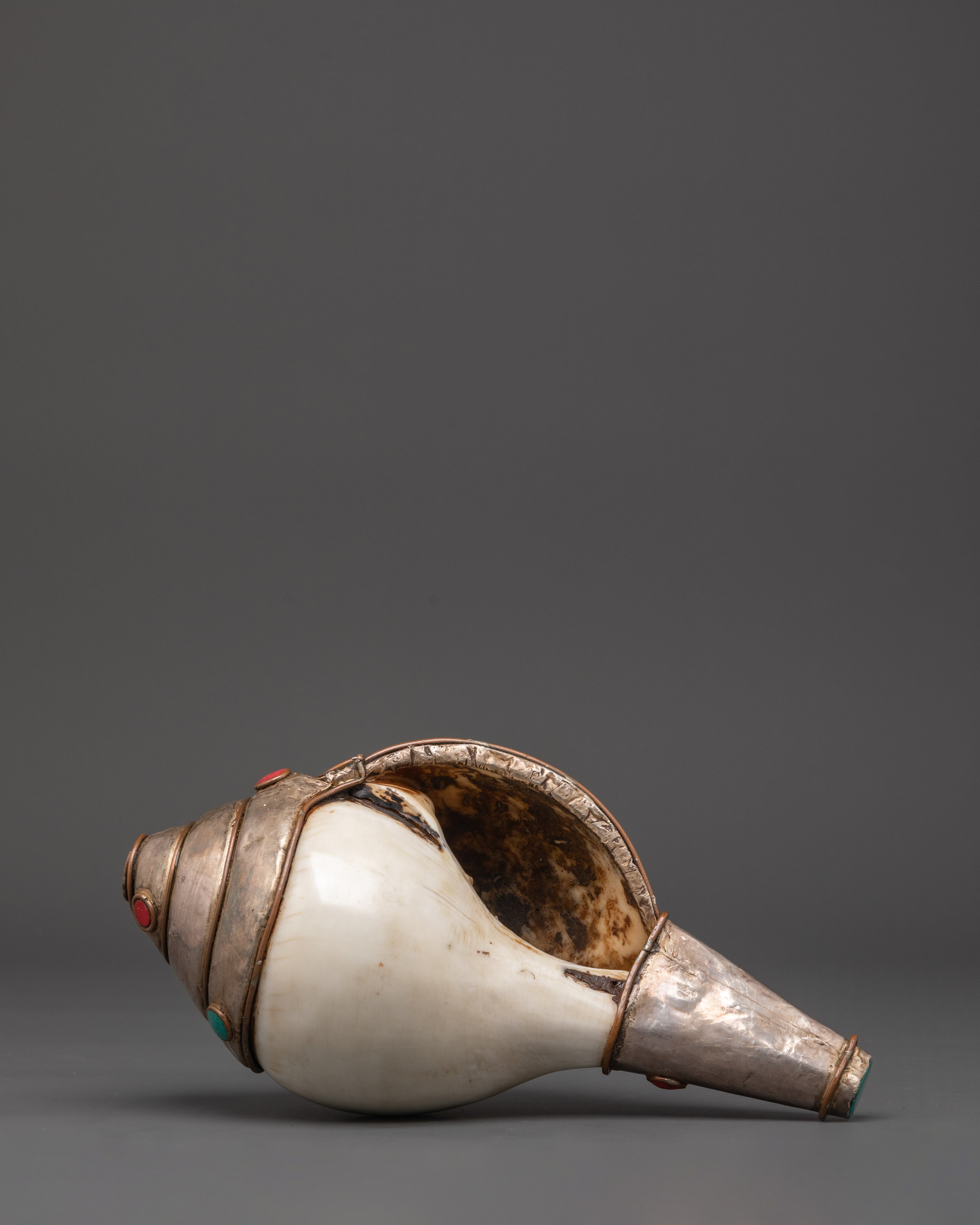 Conch Spiritual Tool | Sacred Buddhist Conch Shell