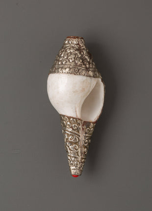 Conch Shell Spiritual Decor | Symbol of Sound and Spirituality