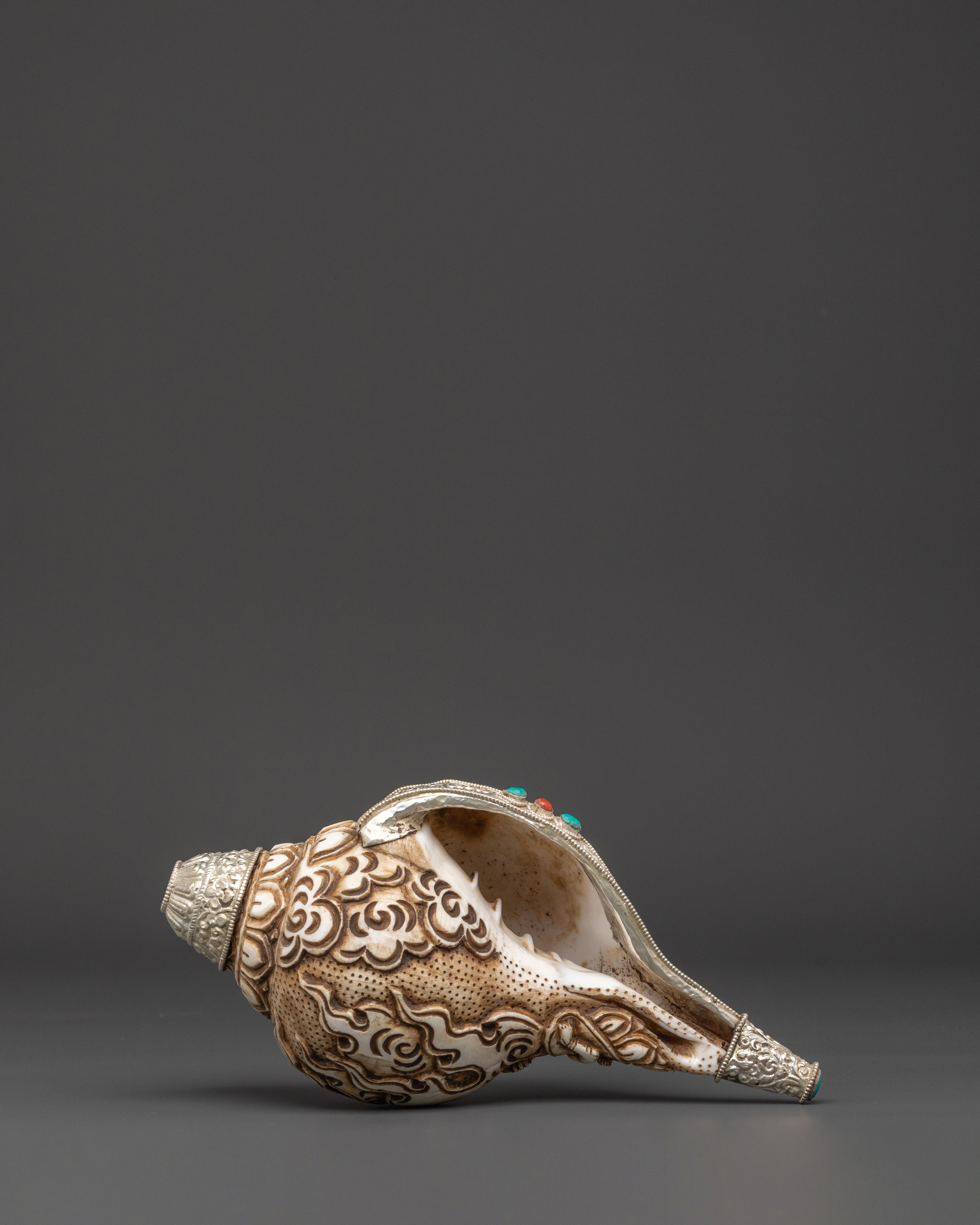 Ritual Tool Conch | Sacred Spiritual Tool