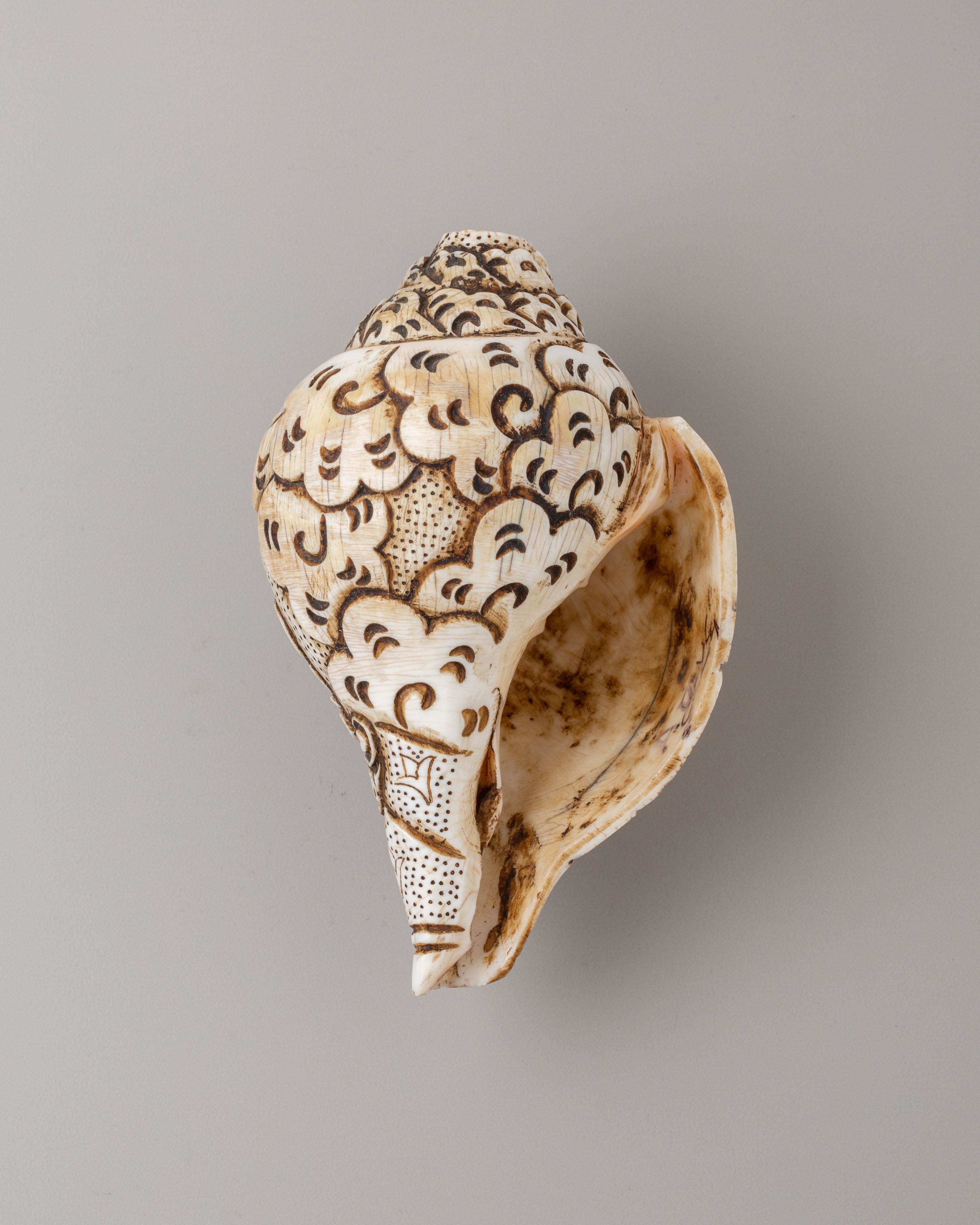 White Dzambhala Ritual Conch | Handcrafted Buddhist Sacred Art