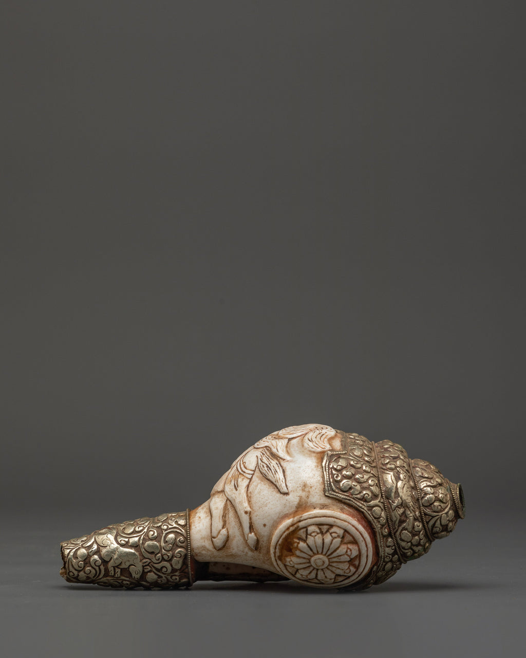 Conch Shell Ritual Traditional Ritual Conch Shell | Tibetan Buddhist Altar Offering Shell