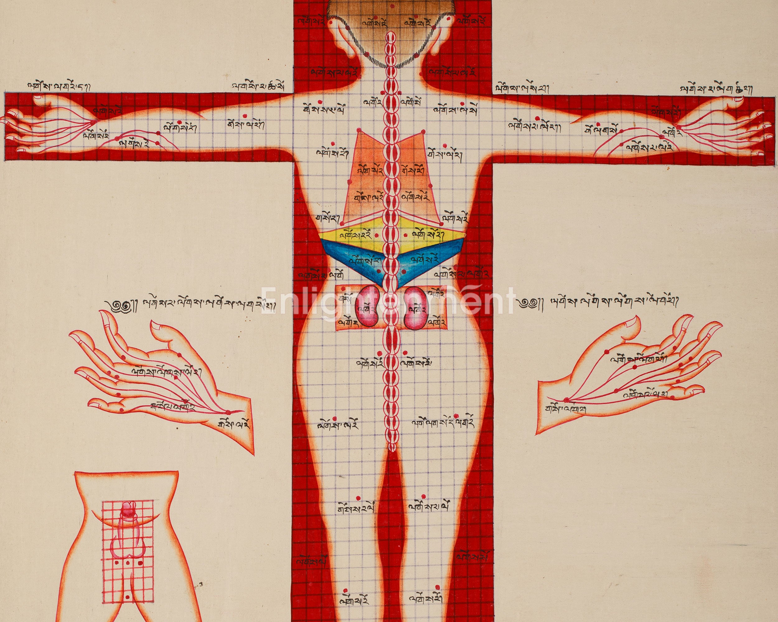 Human Anatomy Thangka | Posterior View of Healing Points