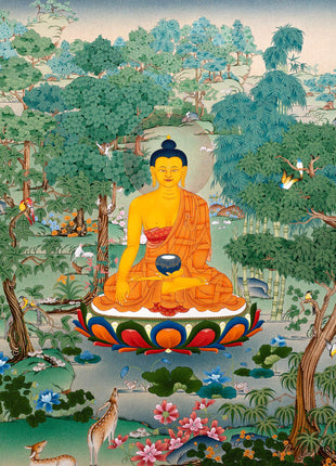 Shakyamuni Buddha Thangka | Tibetan Thangka Art | Buddhist Painting