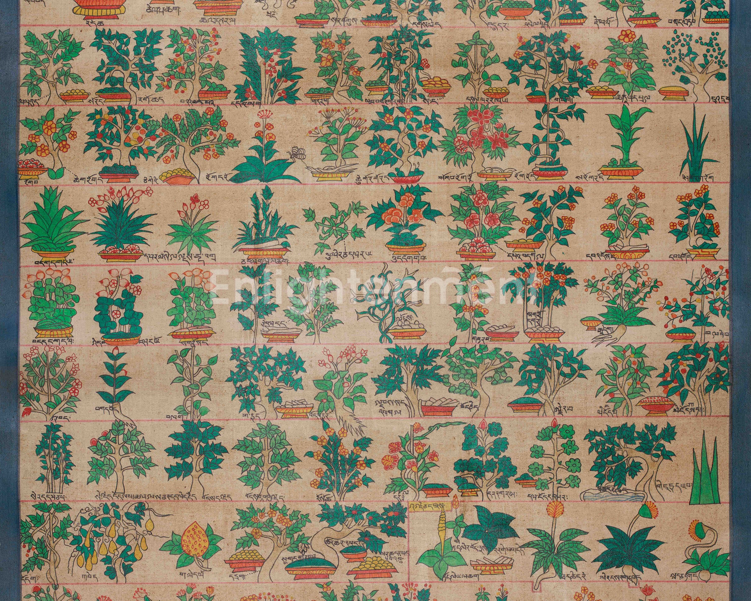 Himalayan Medical Plants Thangka | Symbolizing Natural Medicine, Spiritual Wellness, and Herbal Protection | Nature's Sacred Gifts