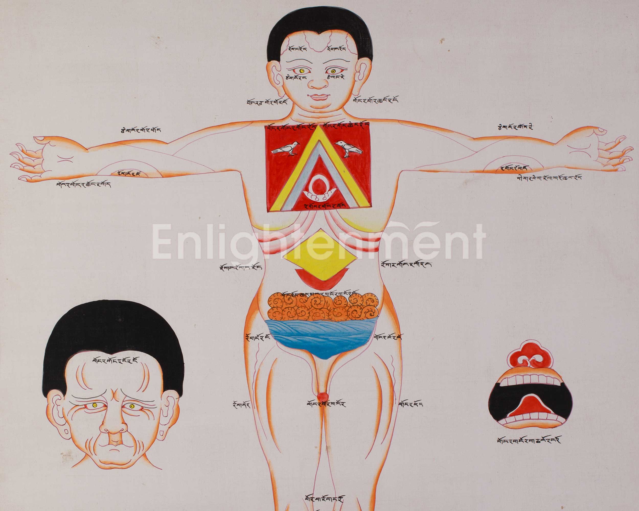 Sacred Human Anatomy Art | Hand-Painted Artwork For Decor