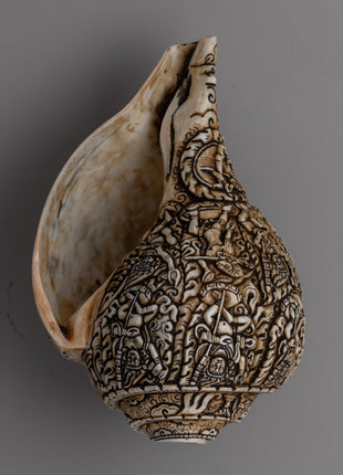Intricately Carved Tibetan Conch Shell | Sacred Buddhist Sankha