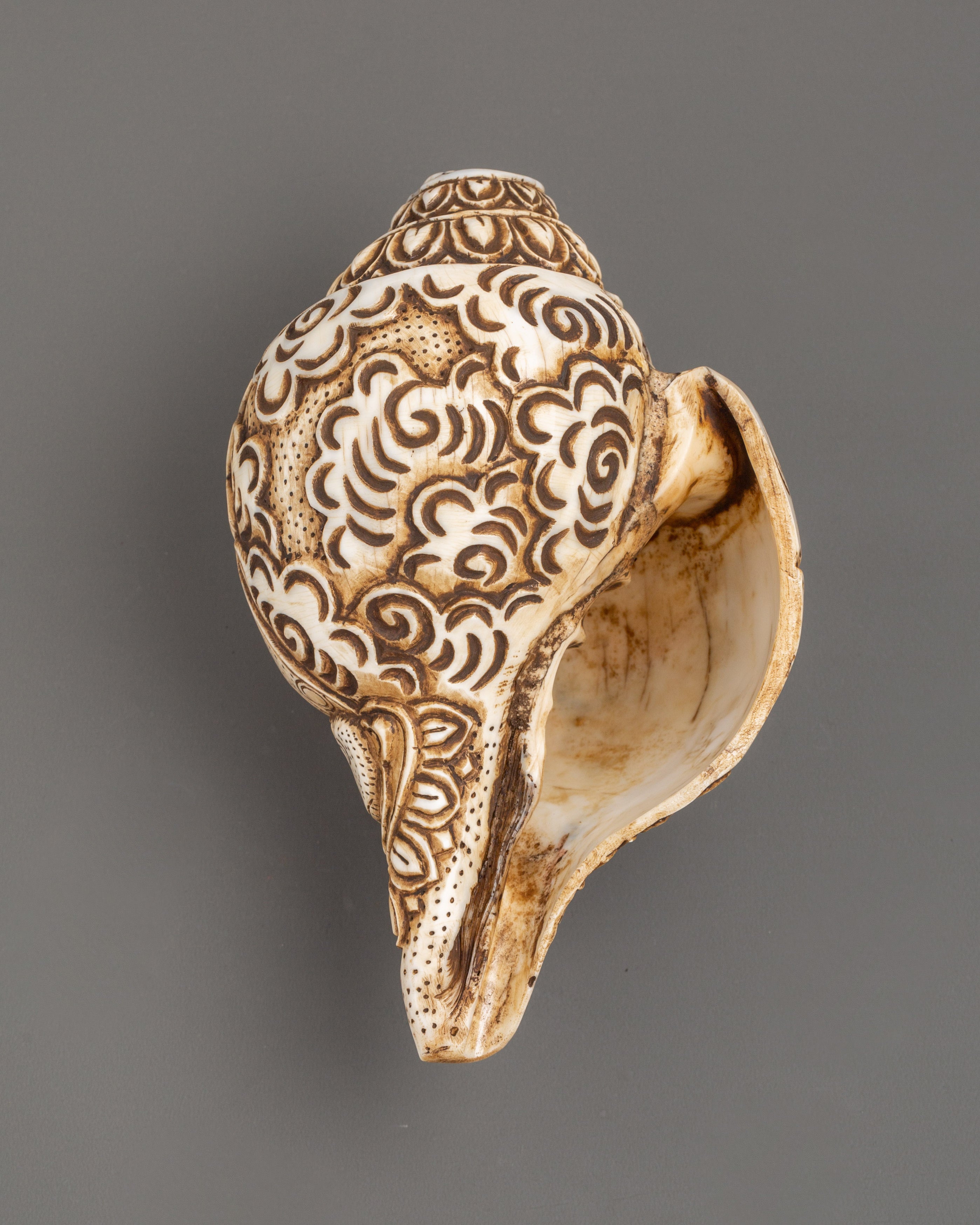 Medicine Buddha Carved Conch | Spiritual Buddhist Intricate Artwork