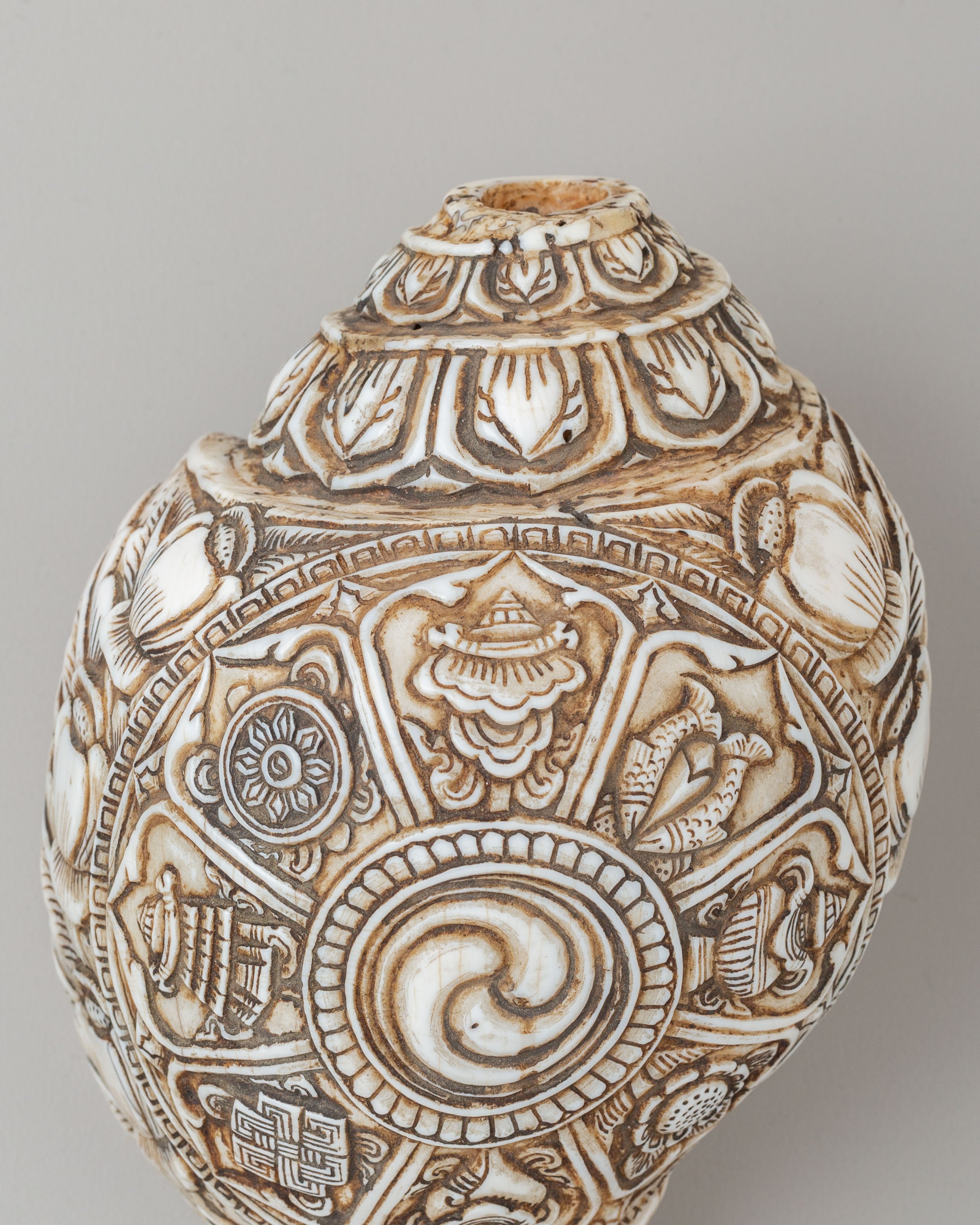 Auspicious Symbol Carved Conch | Perfect for Meditation & Spiritual Practices