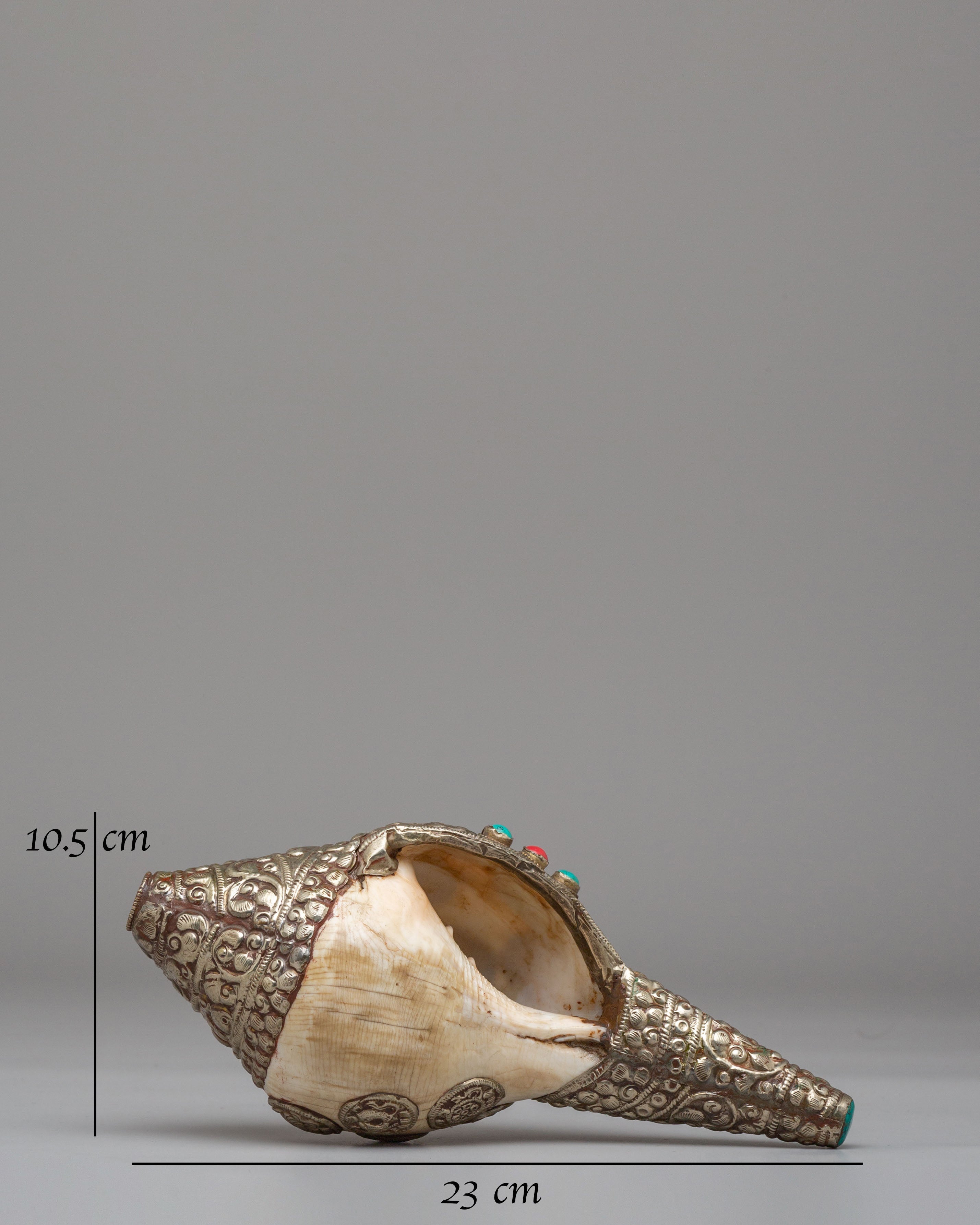 Handcrafted Ritual Conch | Traditional Tibetan Ritual Object