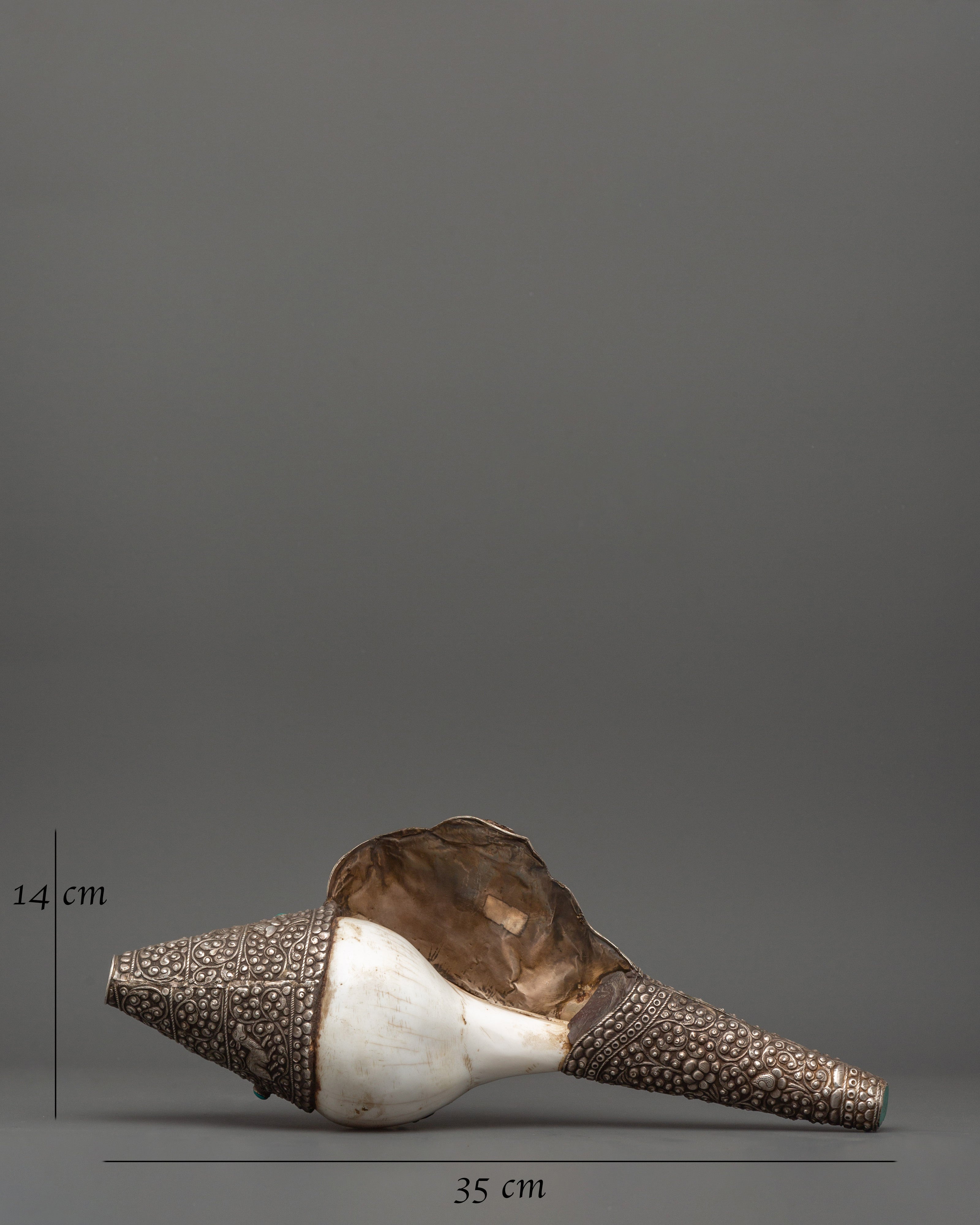 Religious Conch Shell | A Sacred Symbol of Dharma
