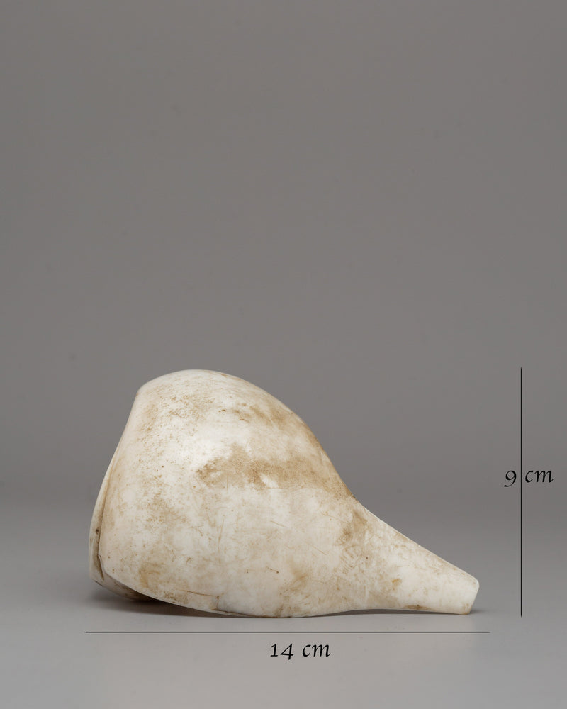 Conch Shell Buddhist Bangel | Symbol of Mindful Living and Spiritual Devotion