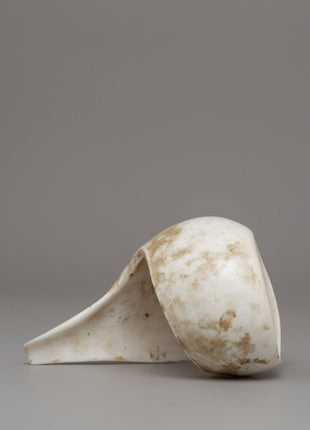 Conch Shell Buddhist Bangel | Symbol of Mindful Living and Spiritual Devotion
