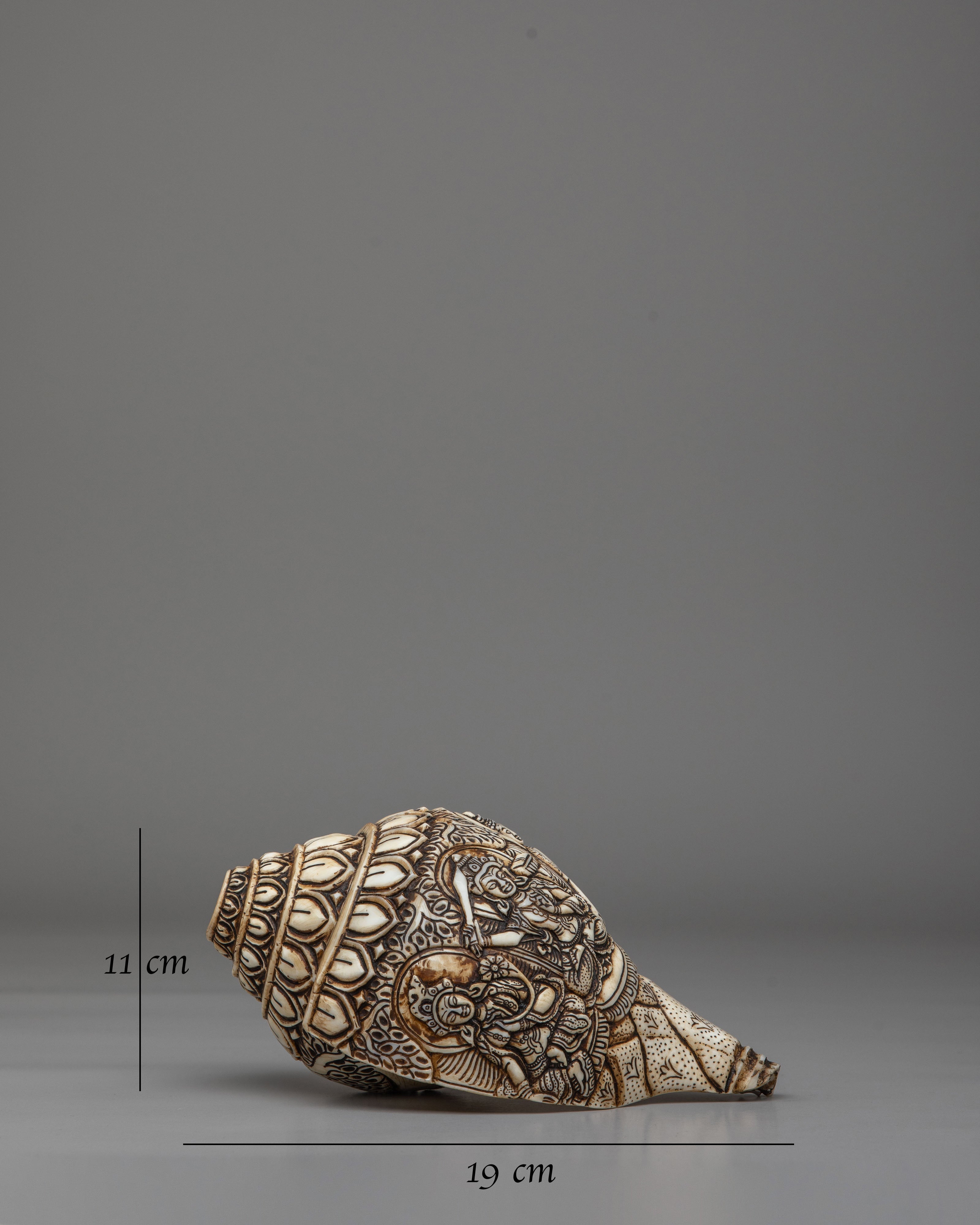 Tibetan Buddhist Sacred Conch | Meditation Tool