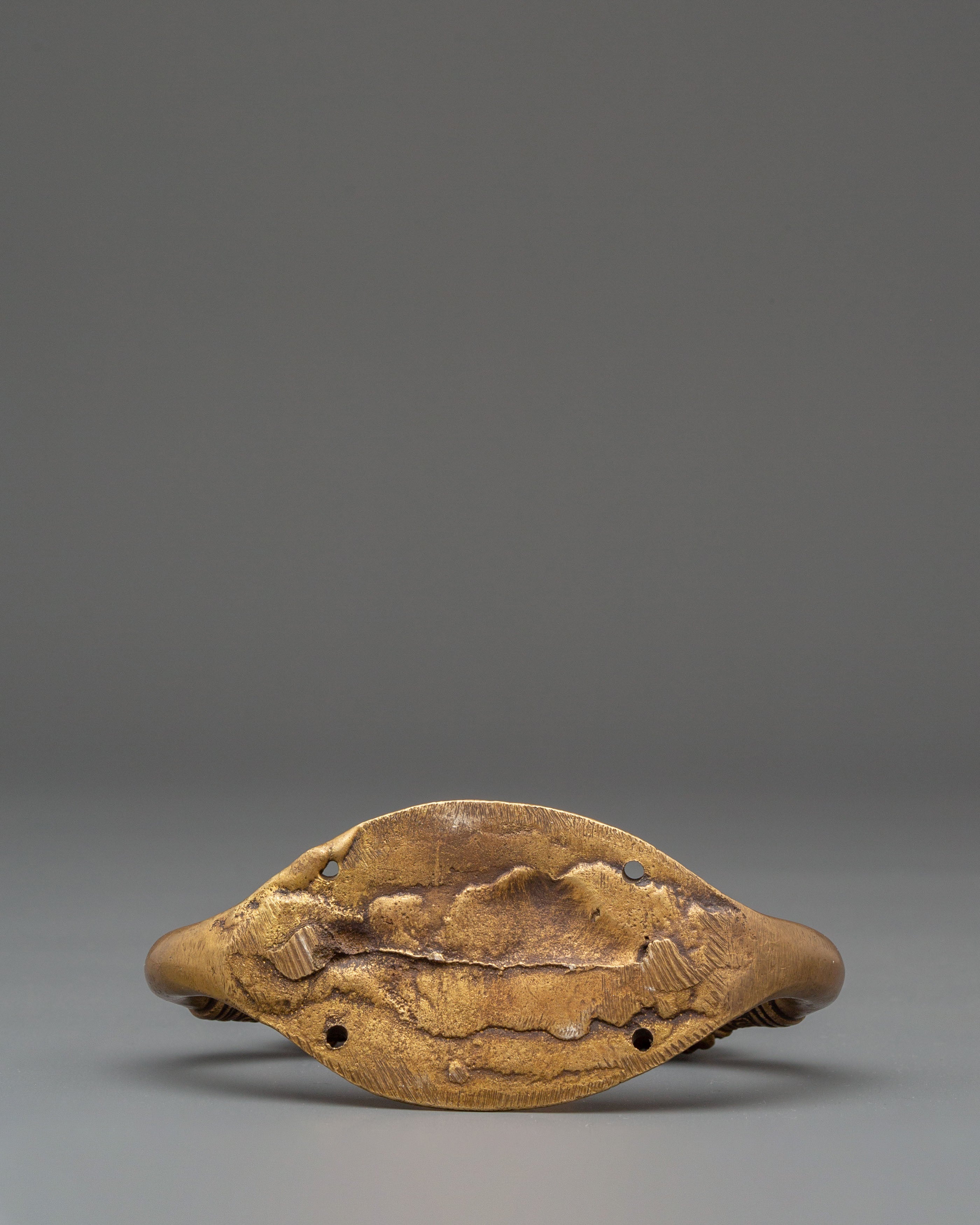 Handmade Brass Door Handle | Unique Animal Motif for Door Decor