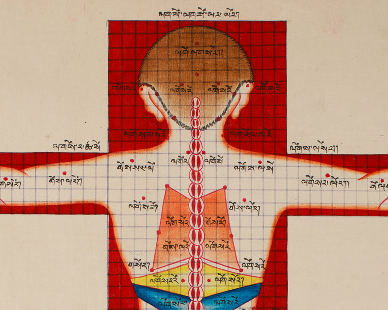 Human Anatomy Thangka | Posterior View of Healing Points