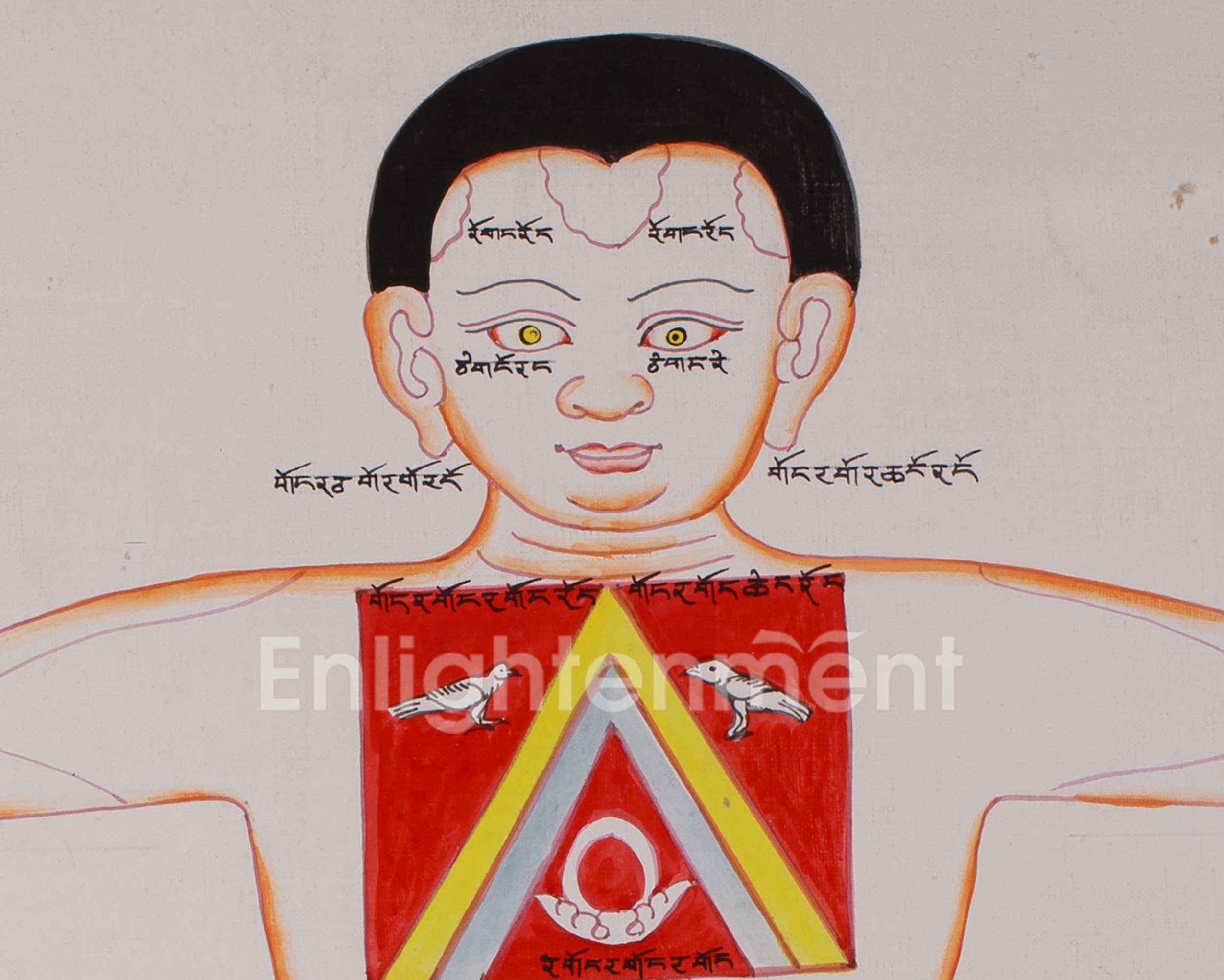 Sacred Human Anatomy Art | Hand-Painted Artwork For Decor