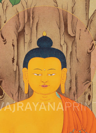 The Enlightened Shakyamuni Buddha Under The Bodhi Tree | Spiritual Giclee Canvas Print