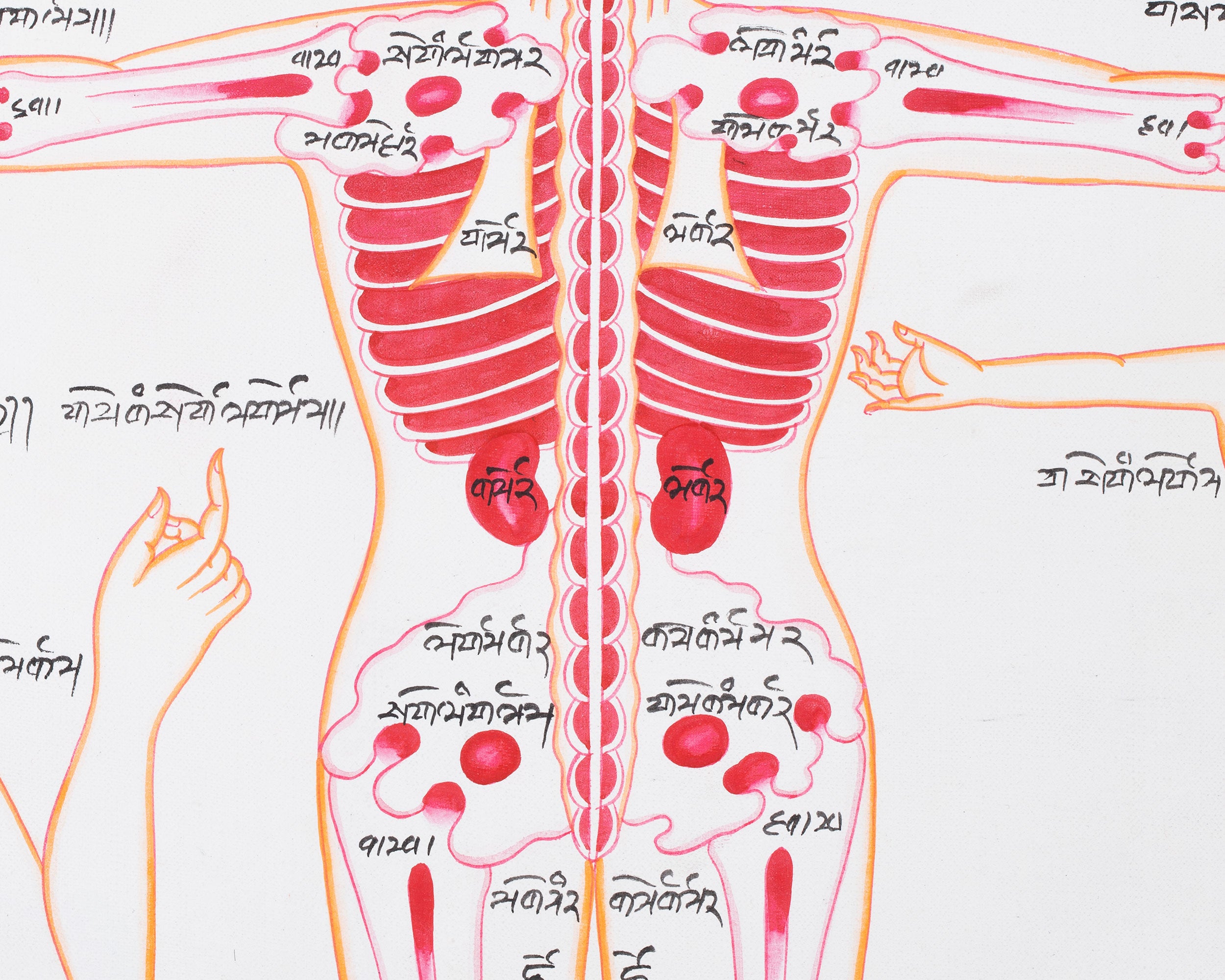 Human Anatomy Thangka | Posterior View of Healing Points