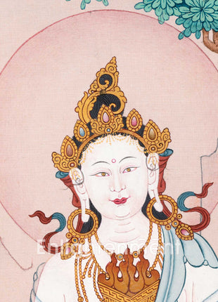 Dukha Dahana Tara  | 21 Tara of Surya Gupta Thangka
