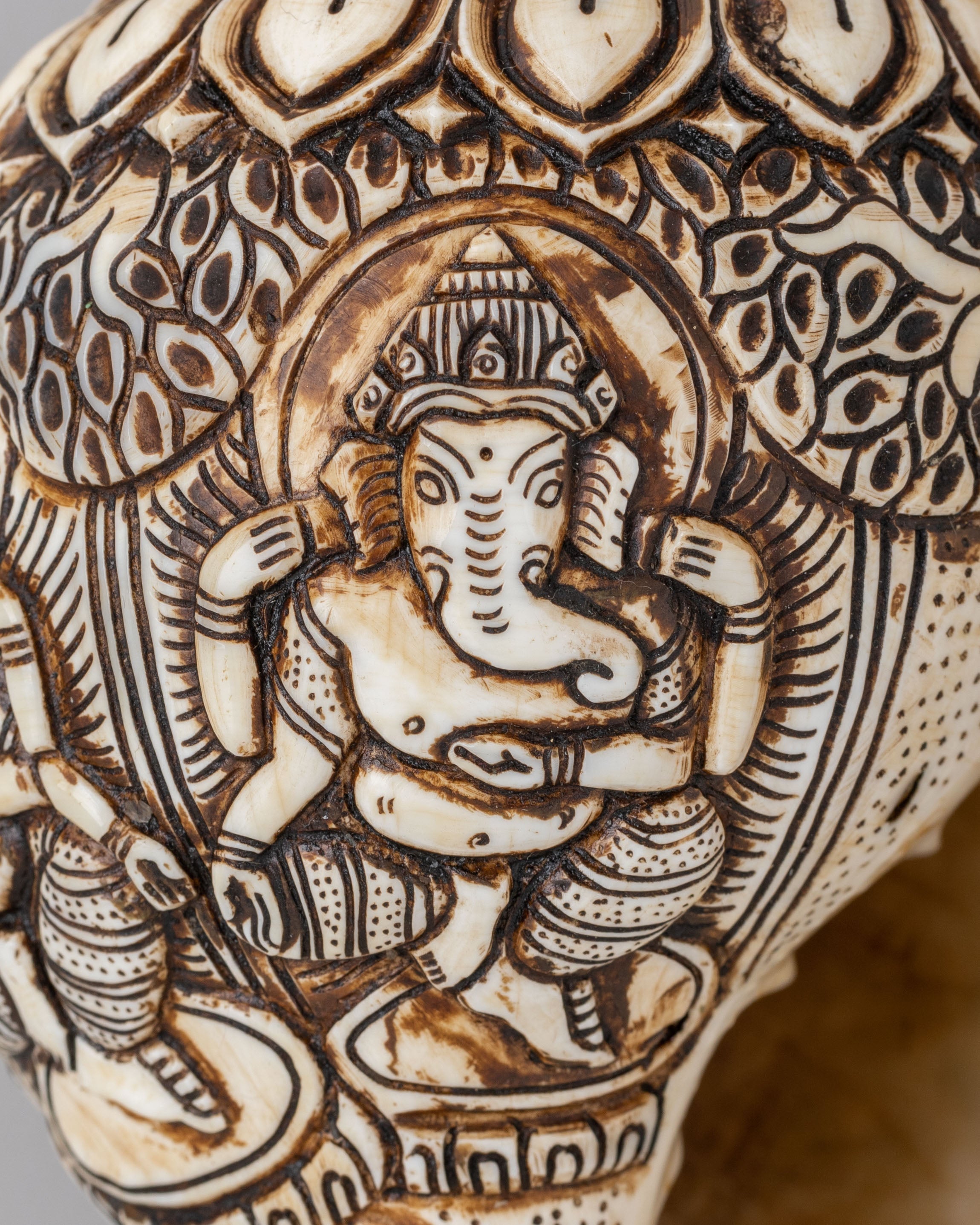 Himalayan Sacred Conch | Tibetan Ritual Conch Shell