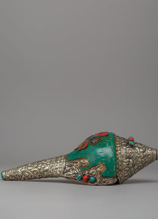 turquoise-conch