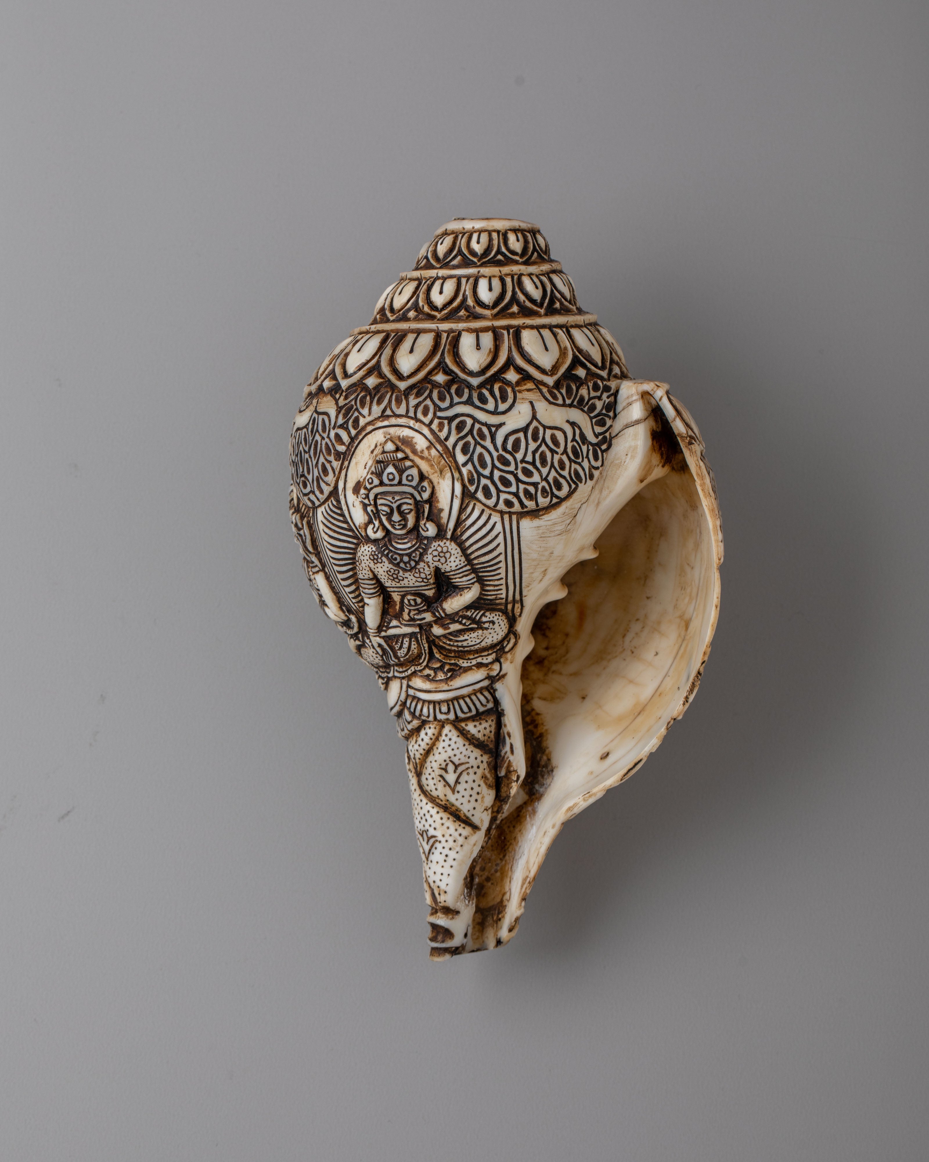 Tibetan Buddhist Sacred Conch | Meditation Tool