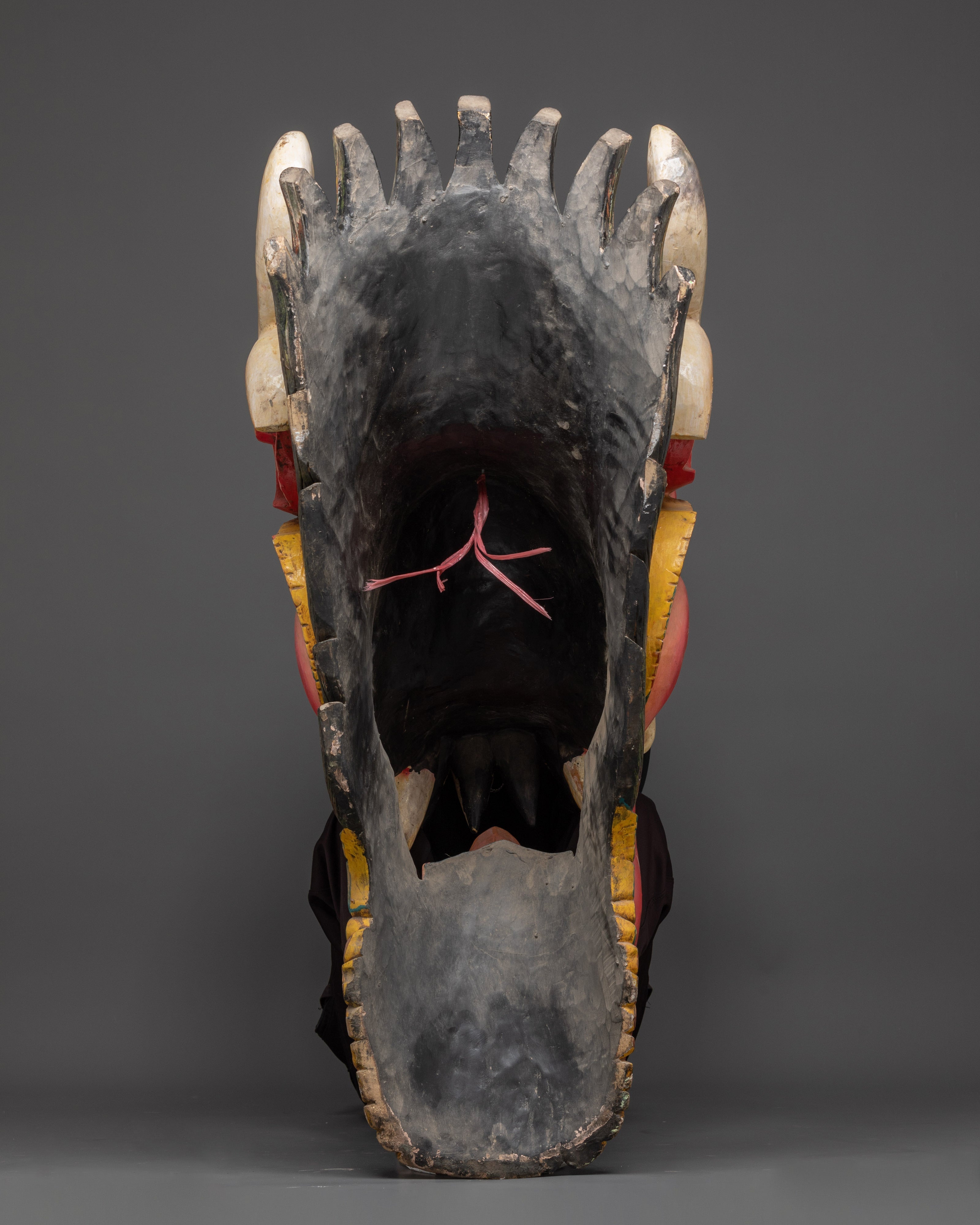 Wall Decor With Horns And Teeth | Handcrafted Art