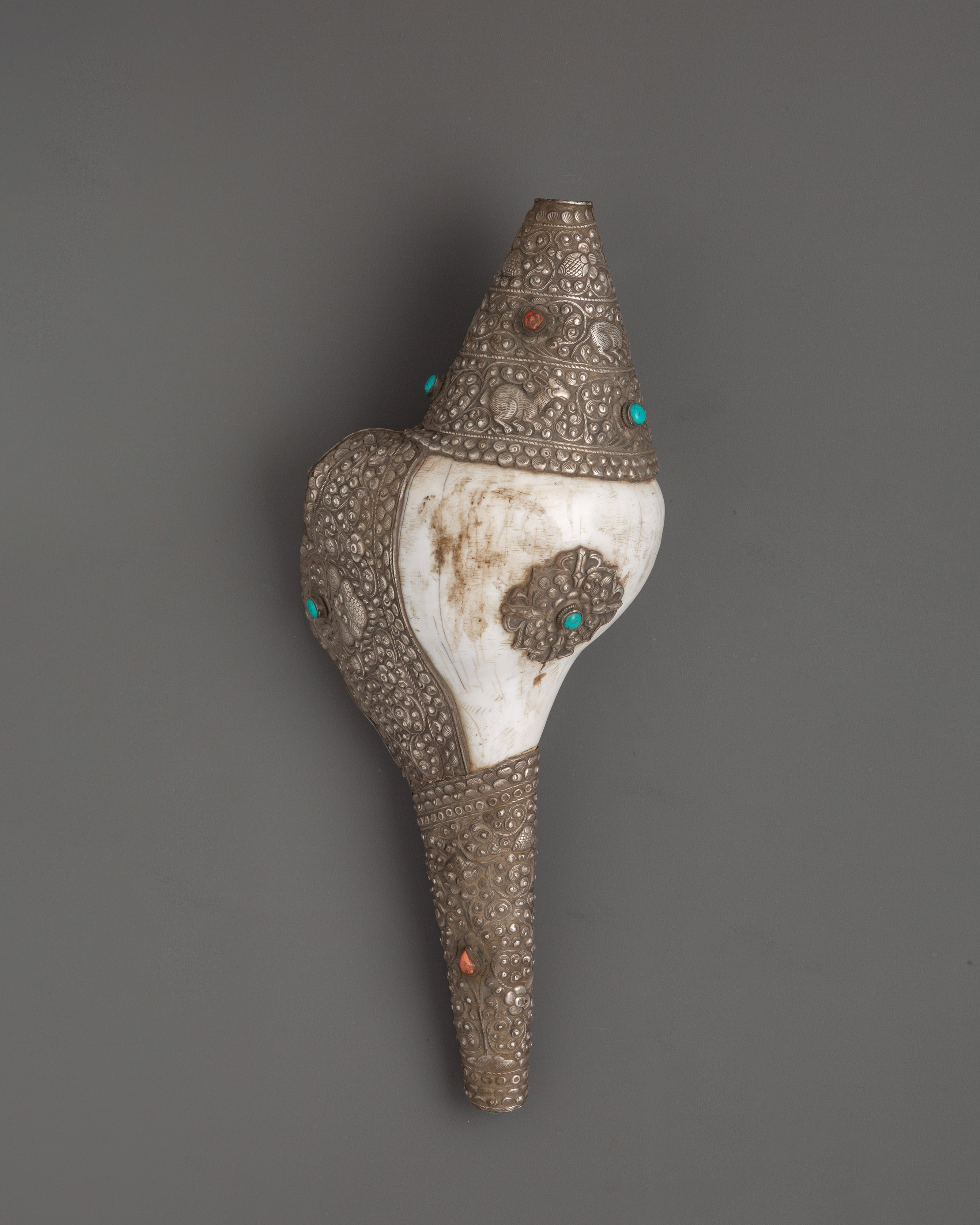 Religious Conch Shell | A Sacred Symbol of Dharma