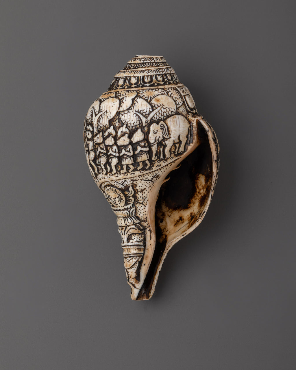 Conch Shell Ritual Hand-Carved Ritual Conch Shell | Tibetan Buddhist Shankha with Deity