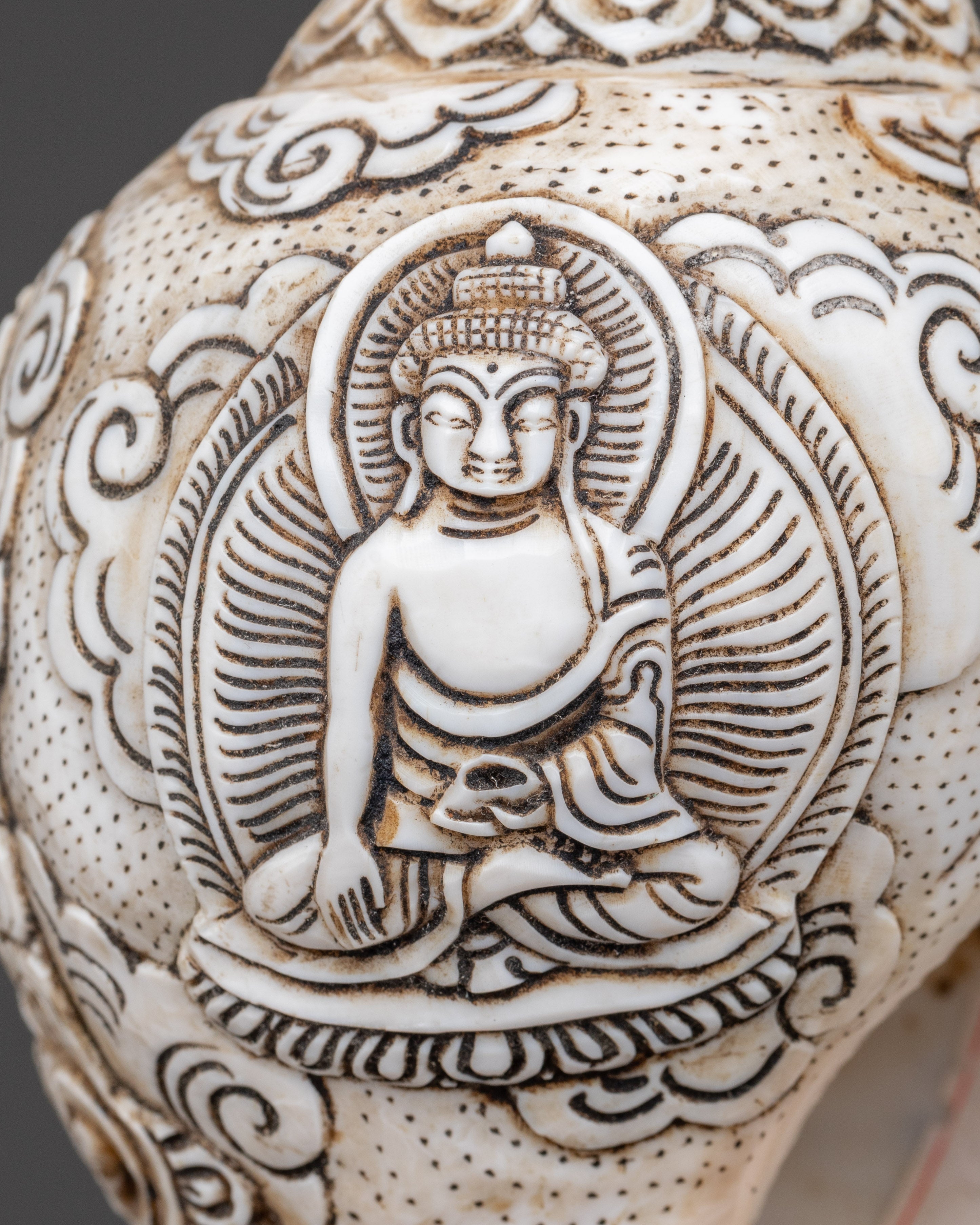 Hand carved Avalokiteshvara Design Conch Shell | Sacred Buddhist Spiritual Artifact