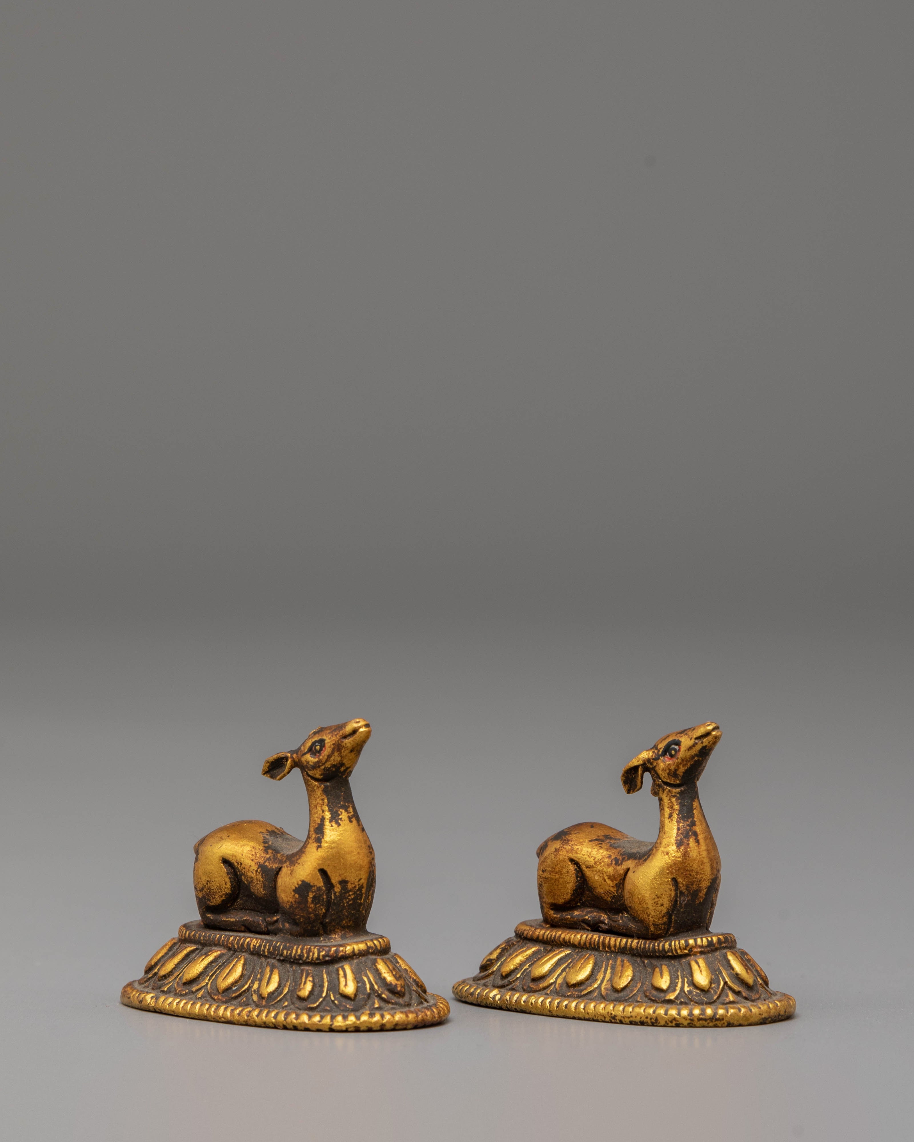 Buddhist Ritual Dharma Wheel