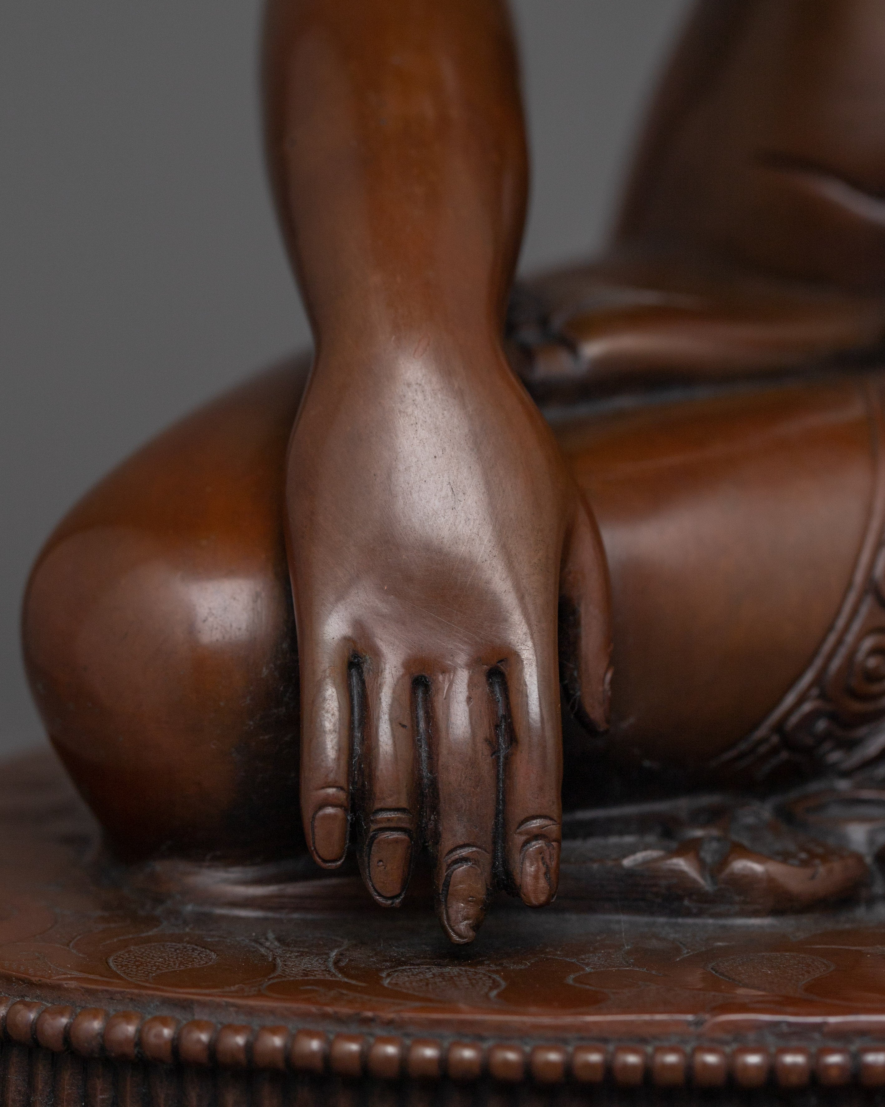 Shakyamuni Buddha The Dharma Teacher | The Compassionate One