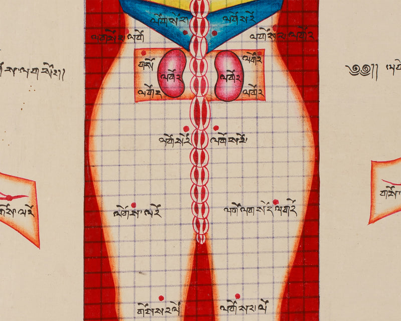 Human Anatomy Thangka | Posterior View of Healing Points