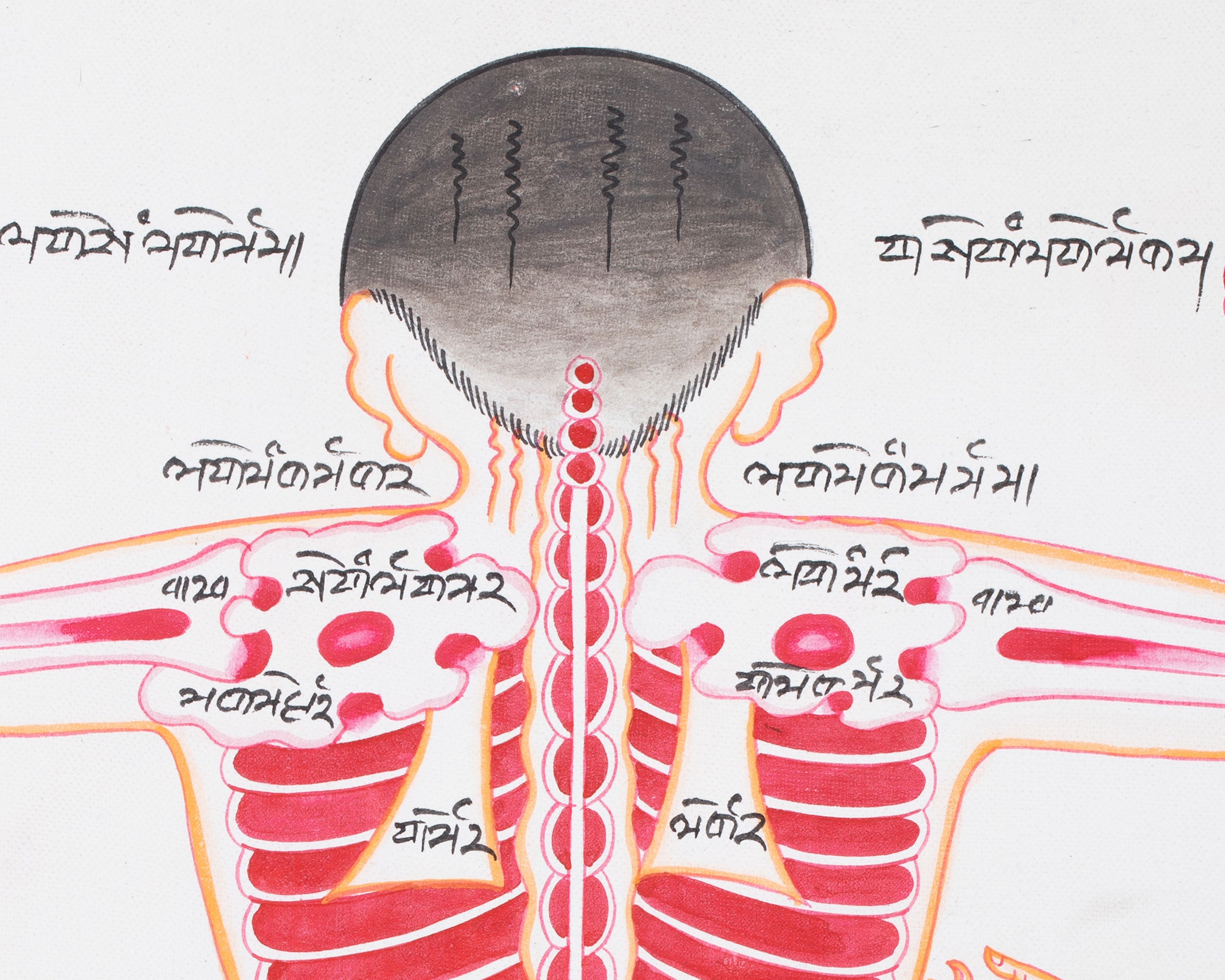 Human Anatomy Thangka | Posterior View of Healing Points