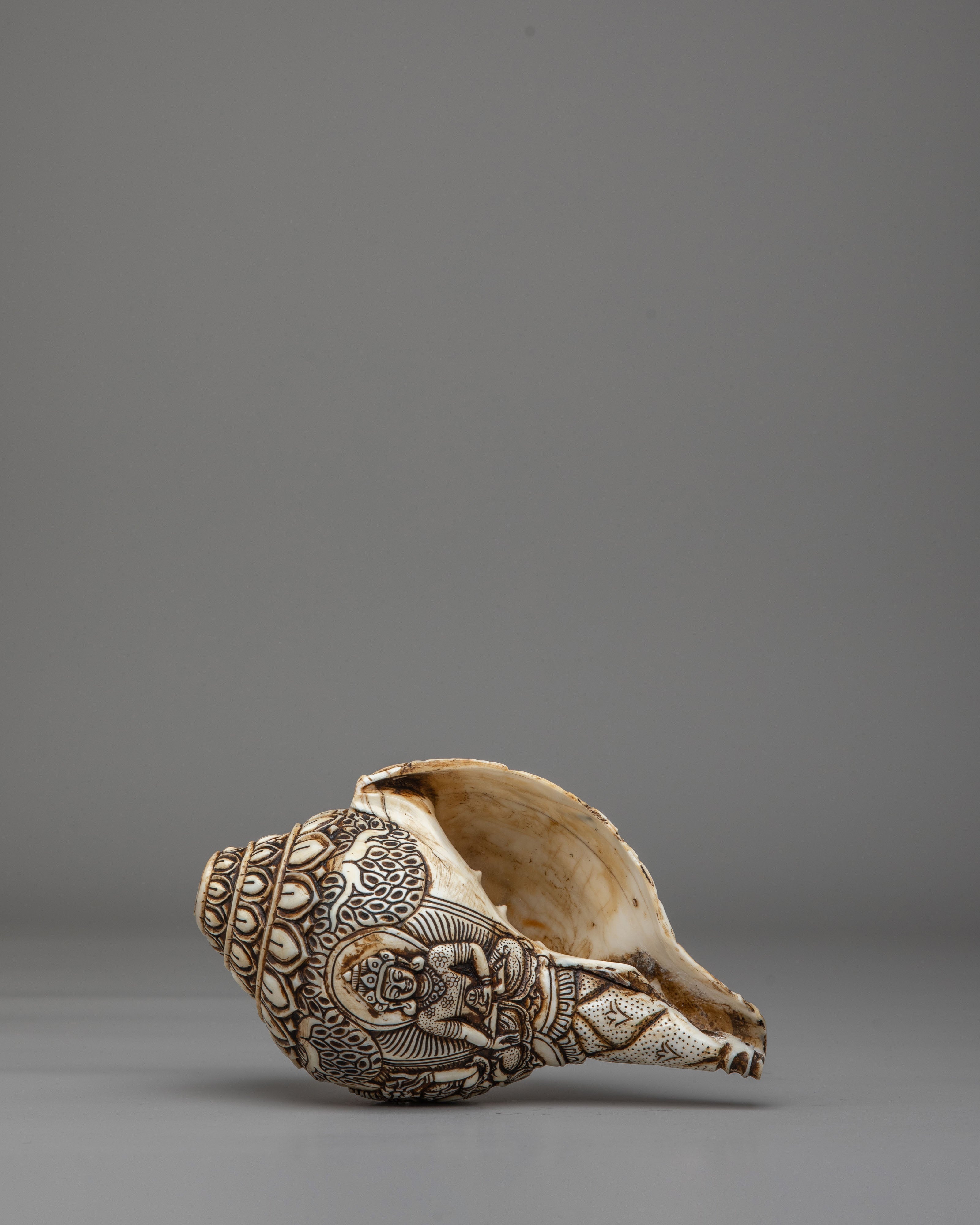 Tibetan Buddhist Sacred Conch | Meditation Tool