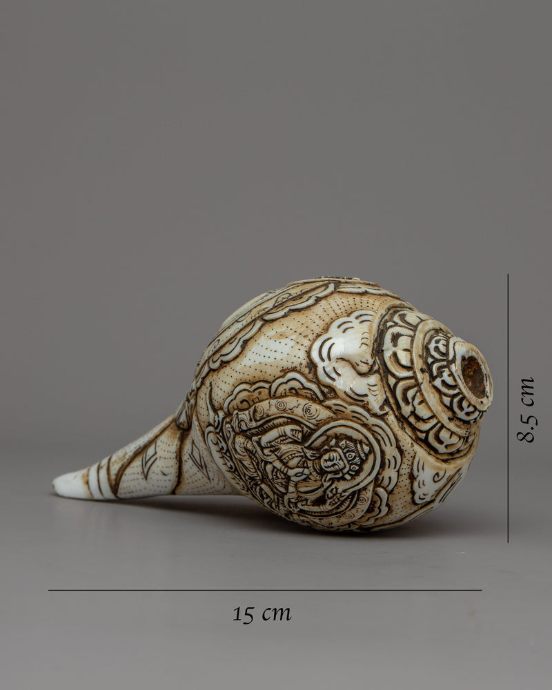 Buddha Shankha Conch Shell | Sacred Symbolizing Enlightenment and Spiritual Awakening