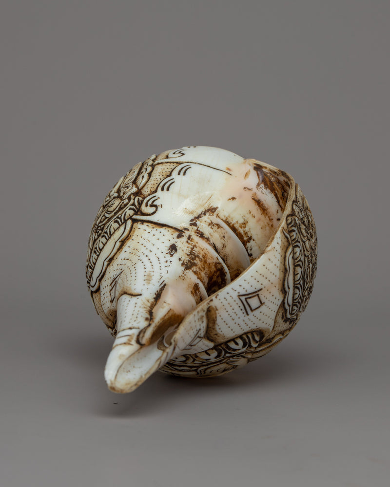 Buddha Shankha Conch Shell | Sacred Symbolizing Enlightenment and Spiritual Awakening