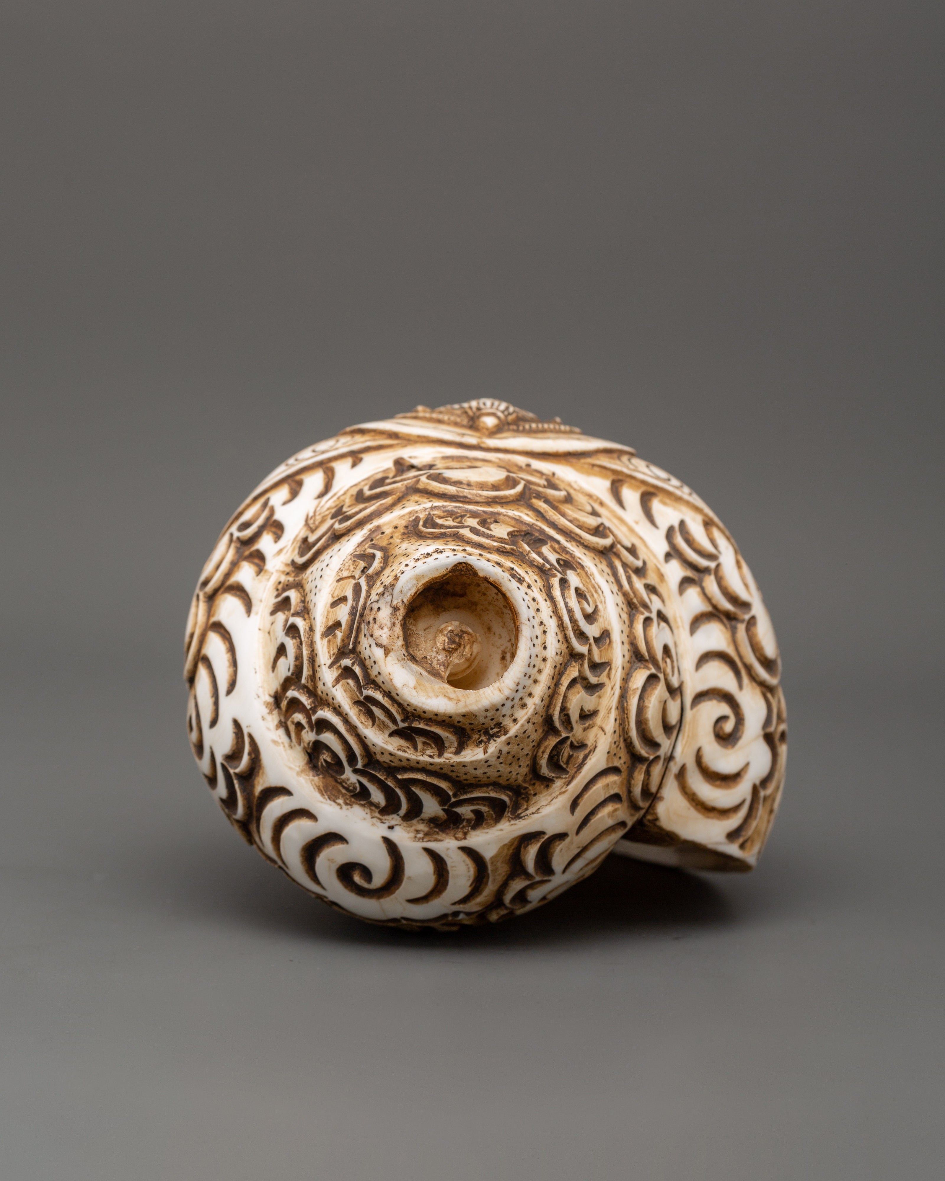 Ganesh Carved Conch Shell for Altar | Handcrafted Conch Shell Ritual Shankha