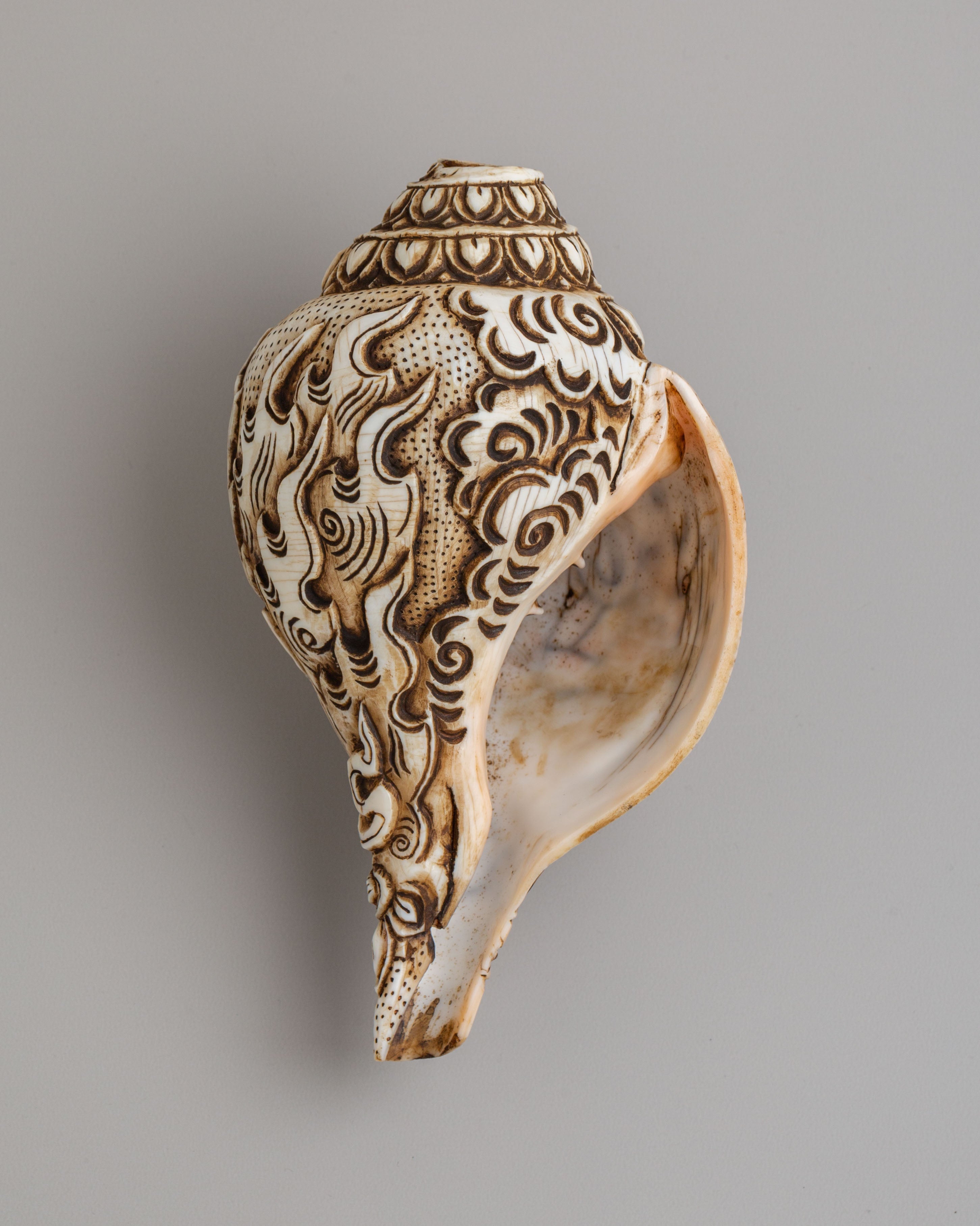 Traditional Sacred Buddhist Conch Shell | Handcrafted Ritual Tool