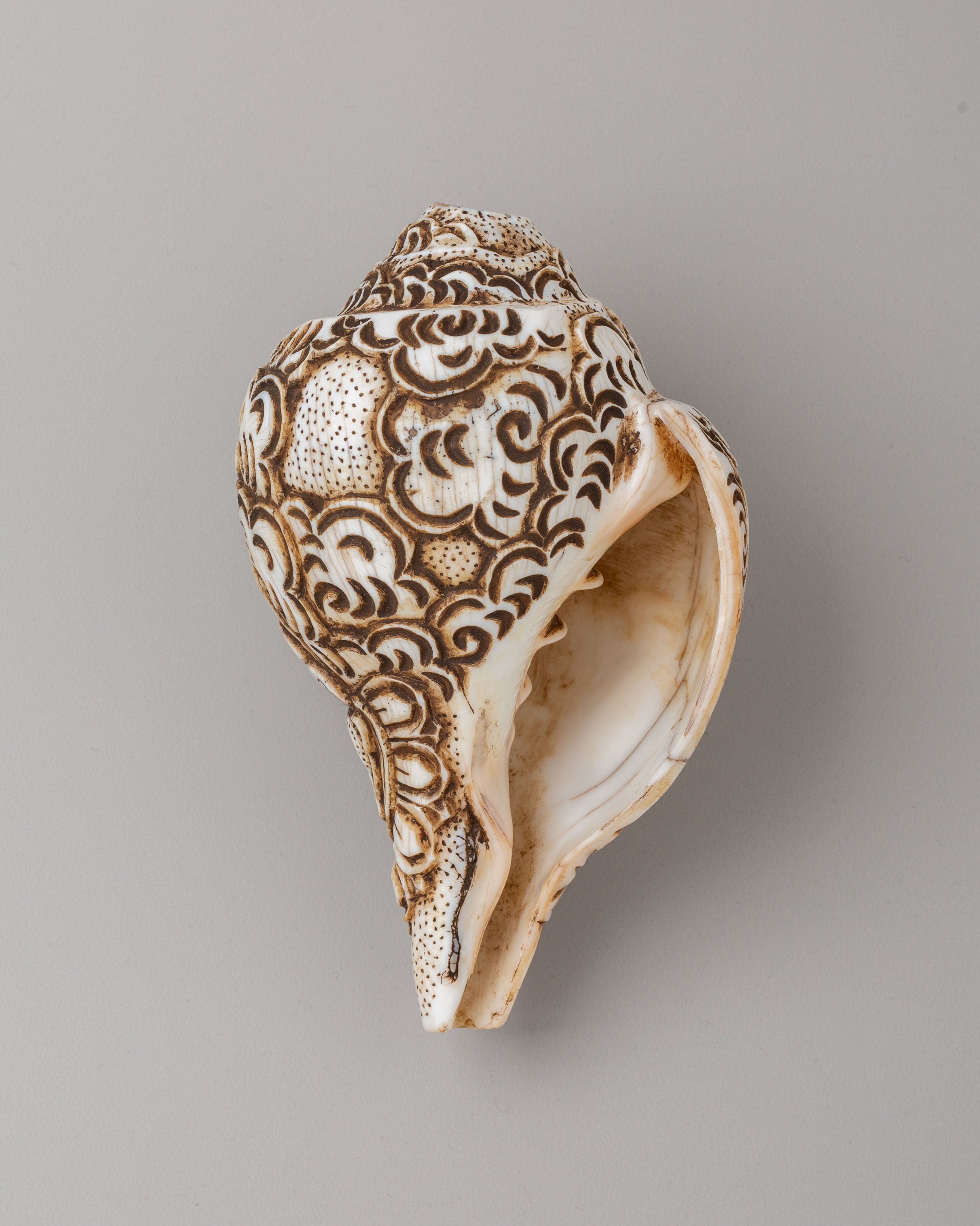Tibetan Manjushri Carved Conch | Buddhist Decorative Shell