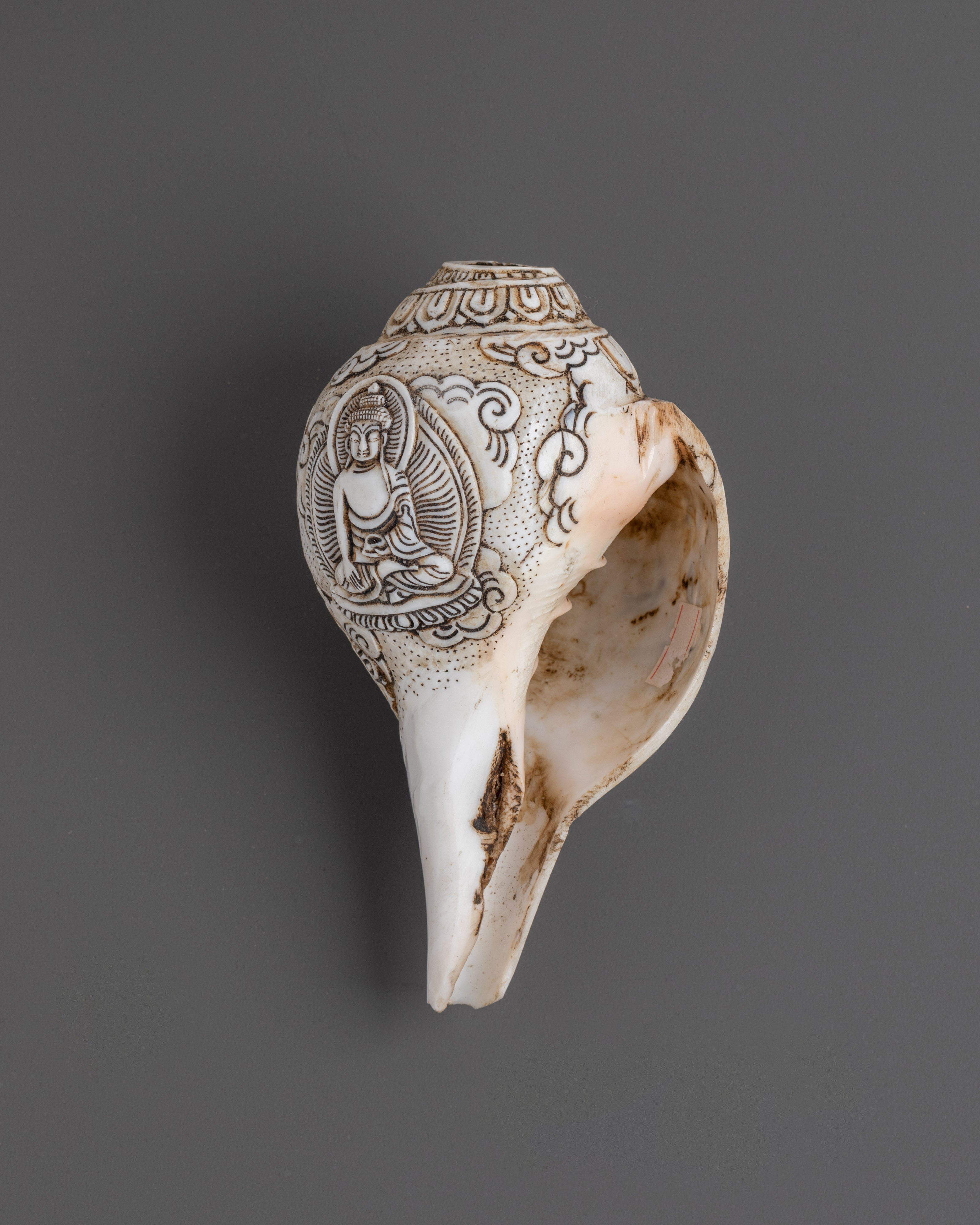 Hand carved Avalokiteshvara Design Conch Shell | Sacred Buddhist Spiritual Artifact