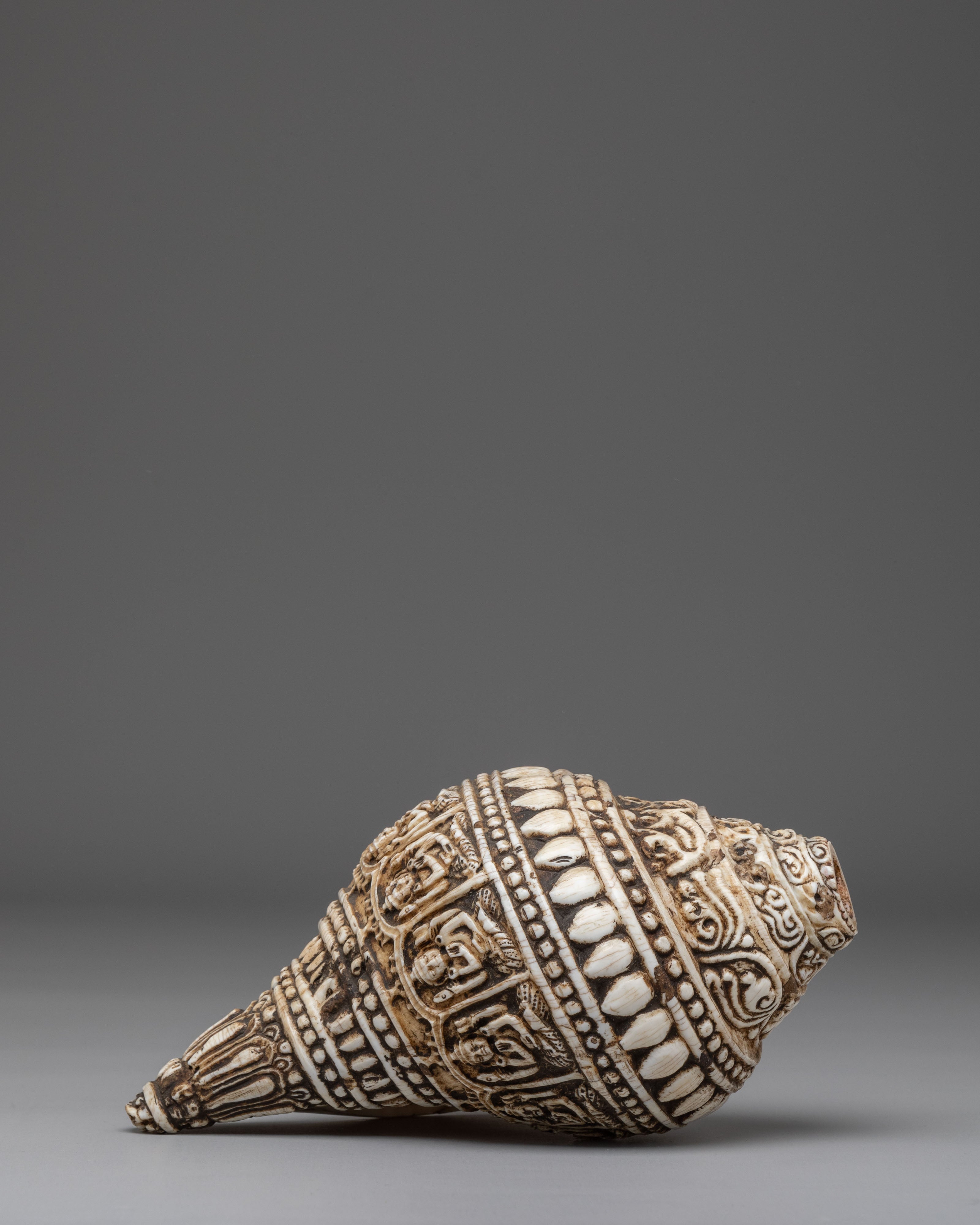 Hand Carved Tibetan Conch Shell | Sacred Sound Conch for Meditation