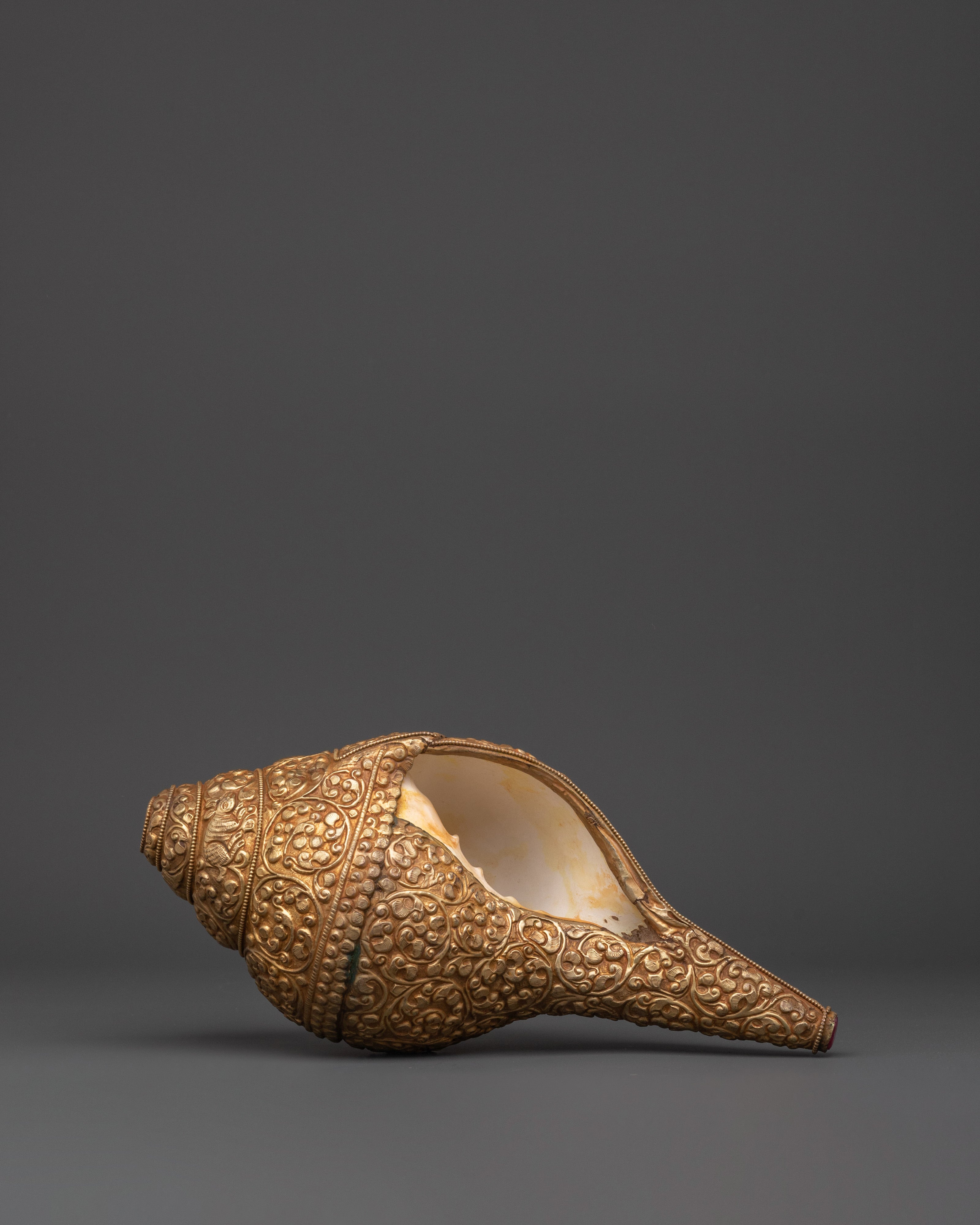 Tibetan Handcrafted conch | Prosperity Prosperity